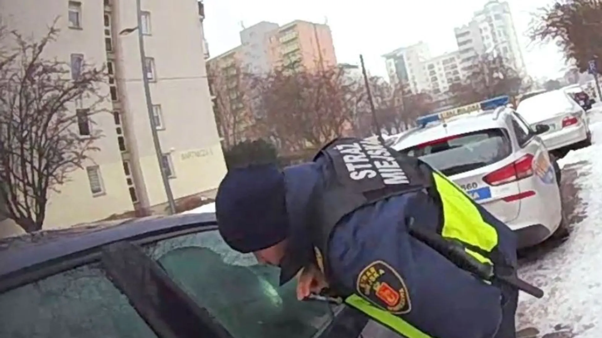 Policja wybiła szybę, by uratować psa z zimnego auta