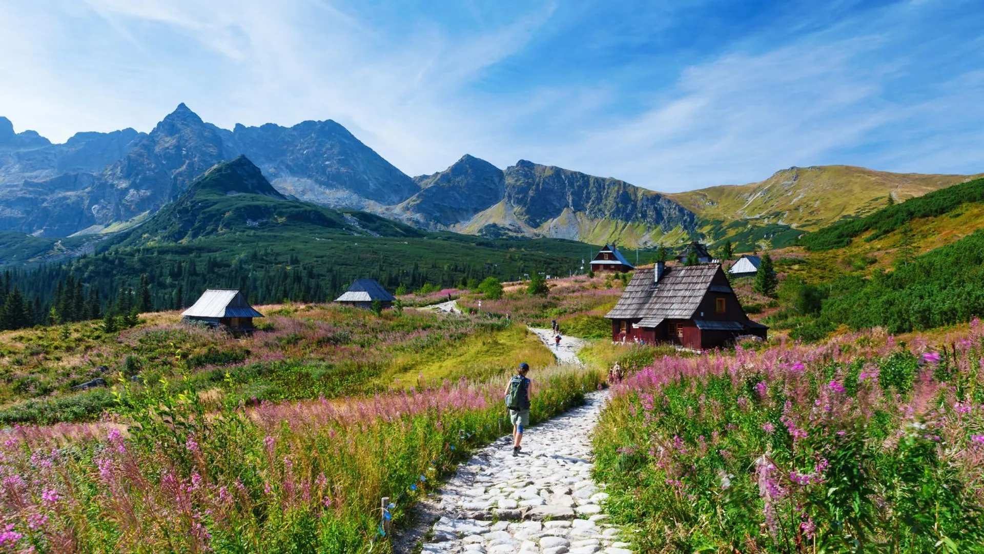 Polskie Tatry turystyka