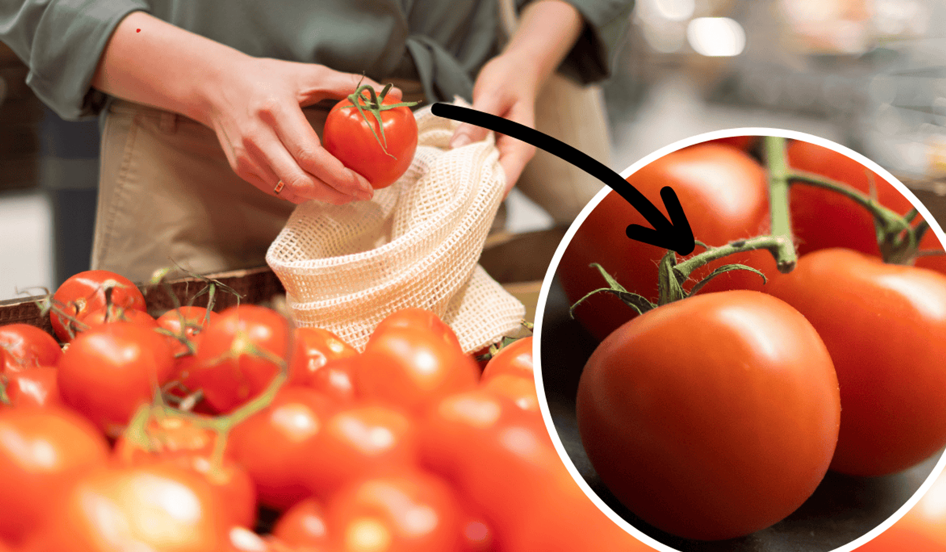 Pourywane szypułki pomidorów