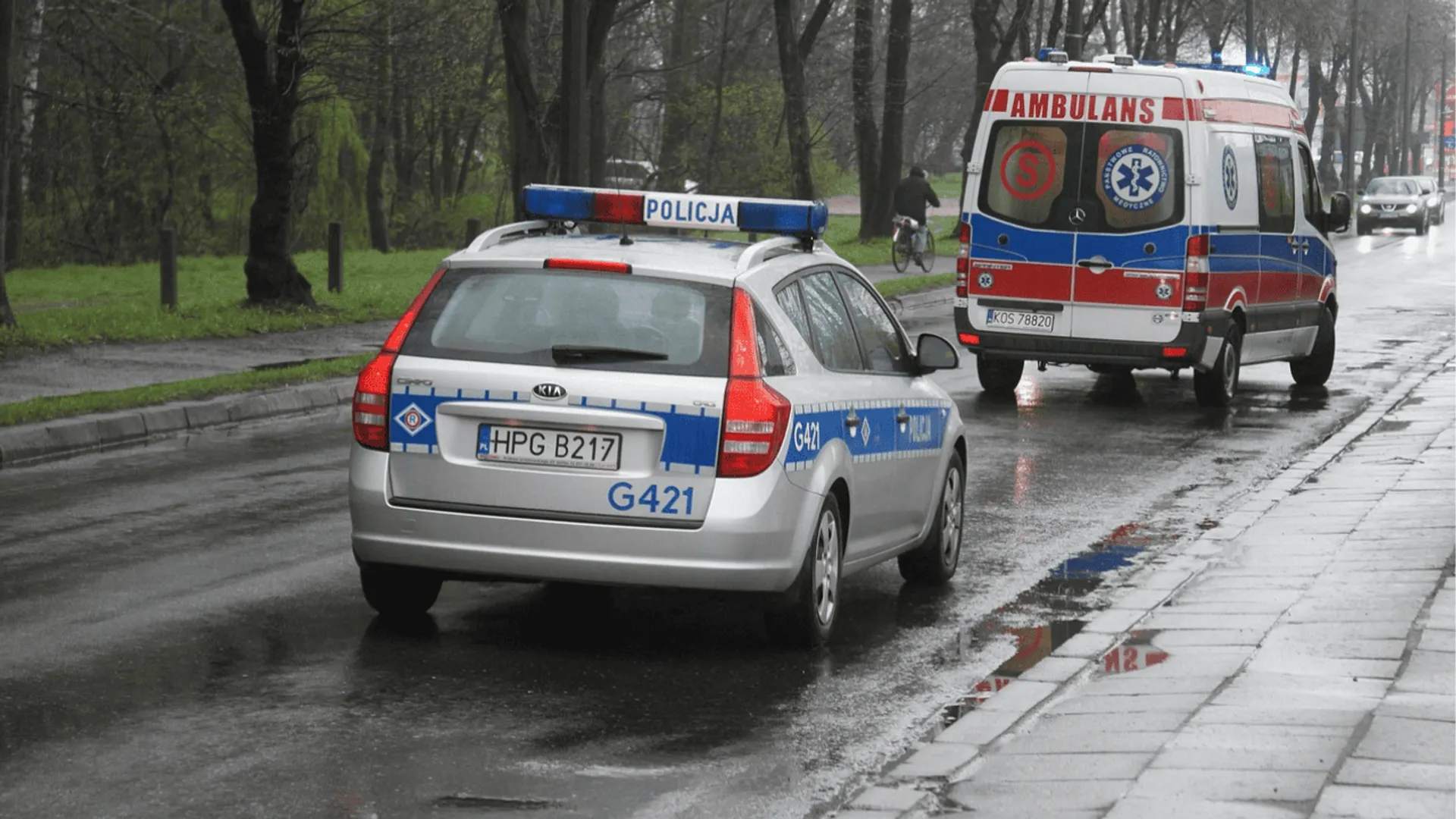 policja