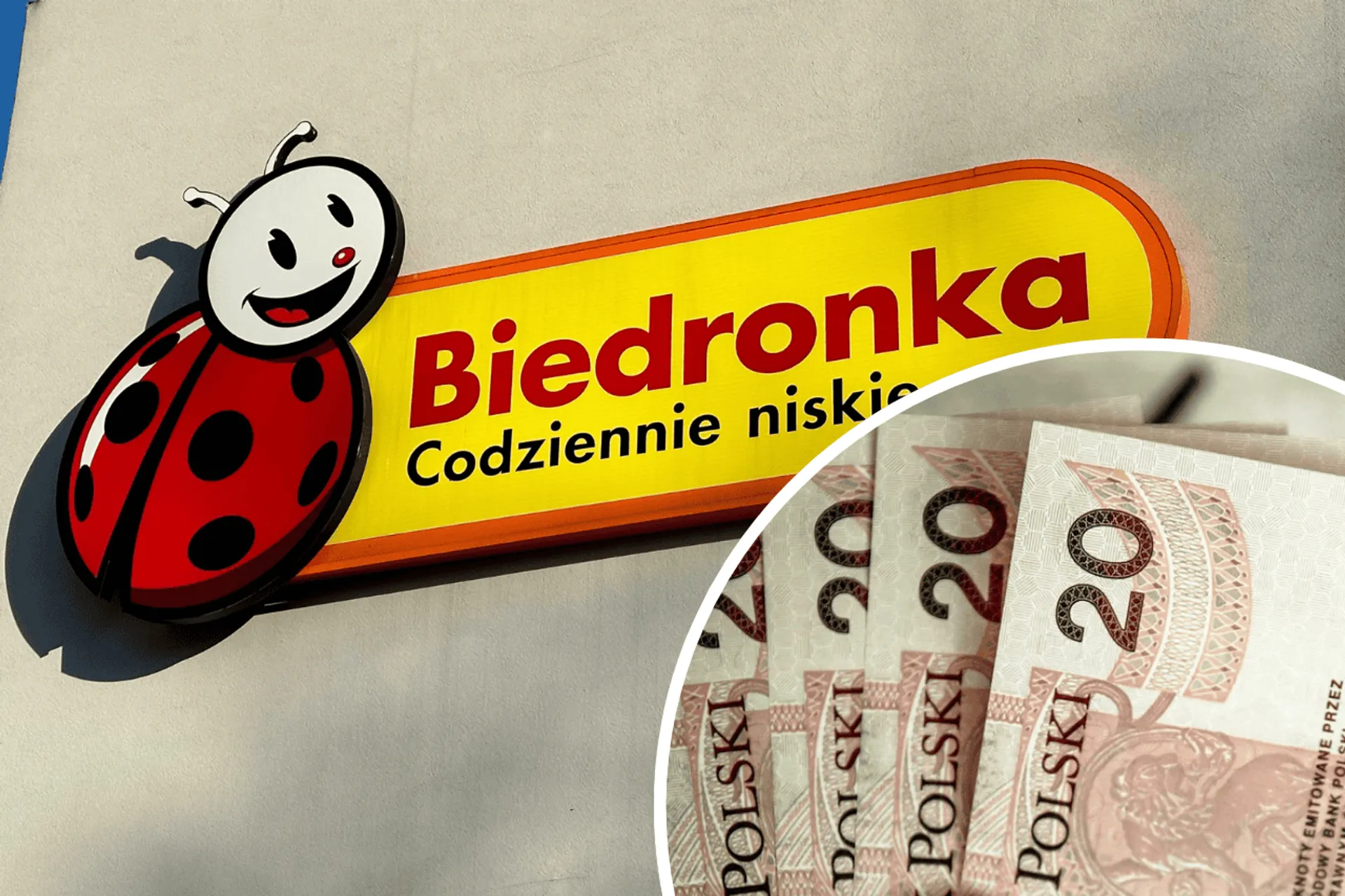 Biedronka, pieniądze