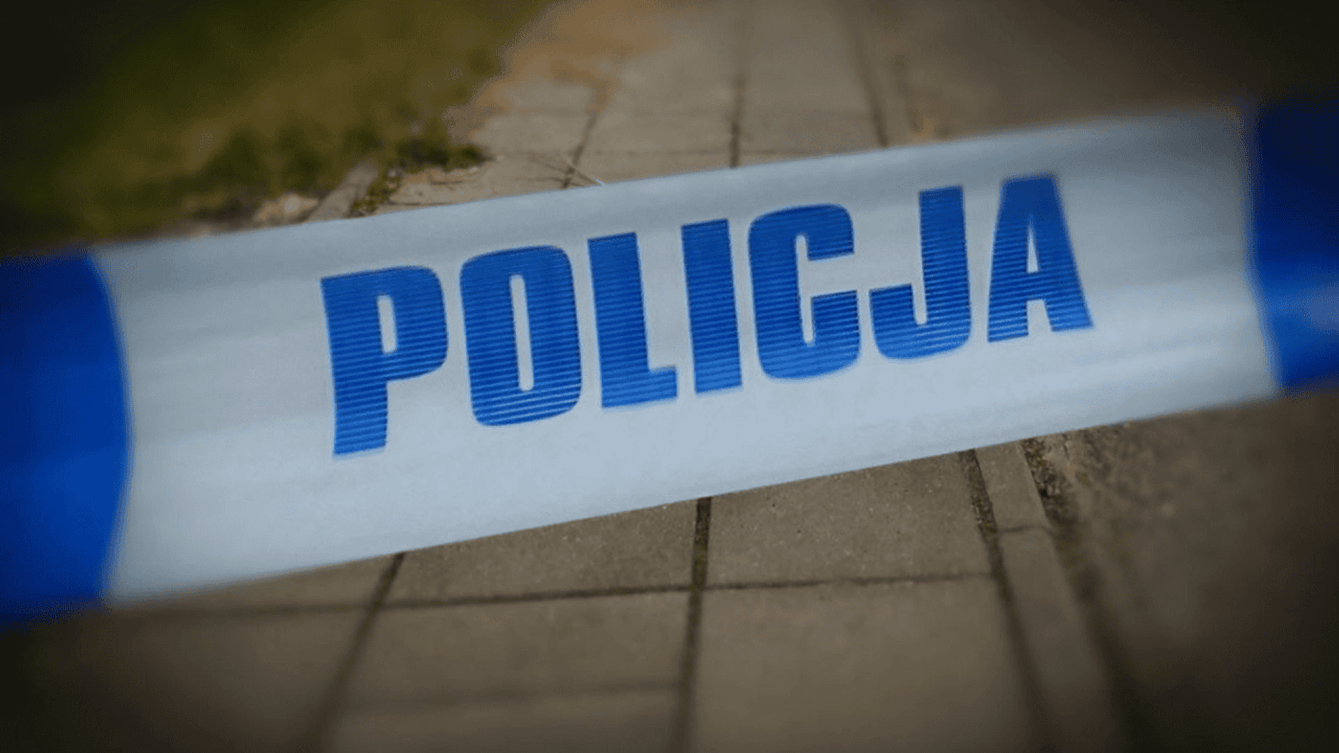 policja