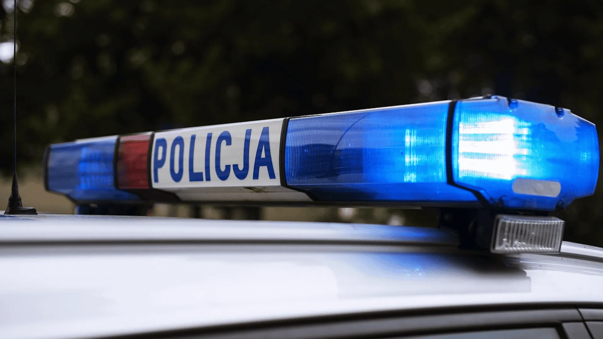policja