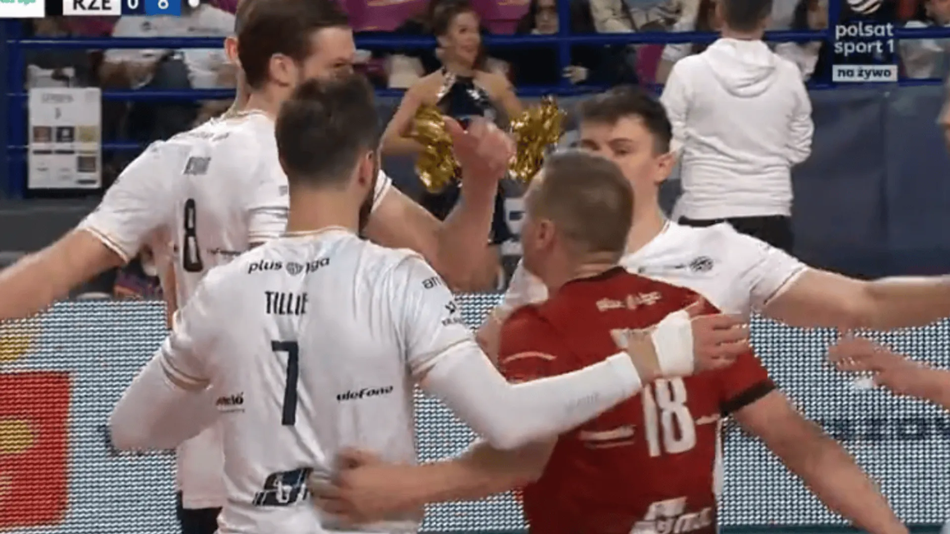 Siatkarze Projektu Warszawa