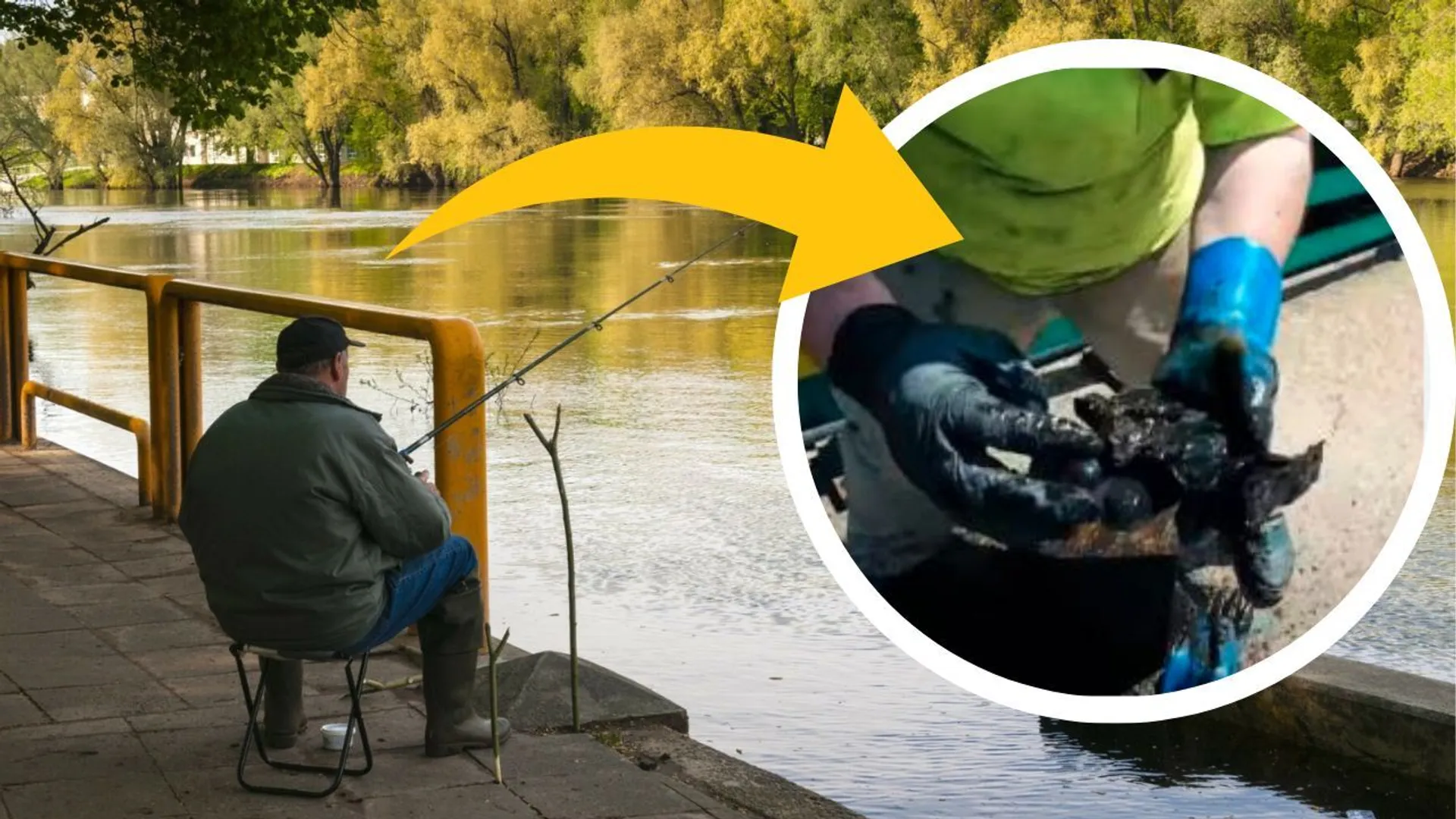 Poszukiwacze skarbów znaleźli w parku sejf