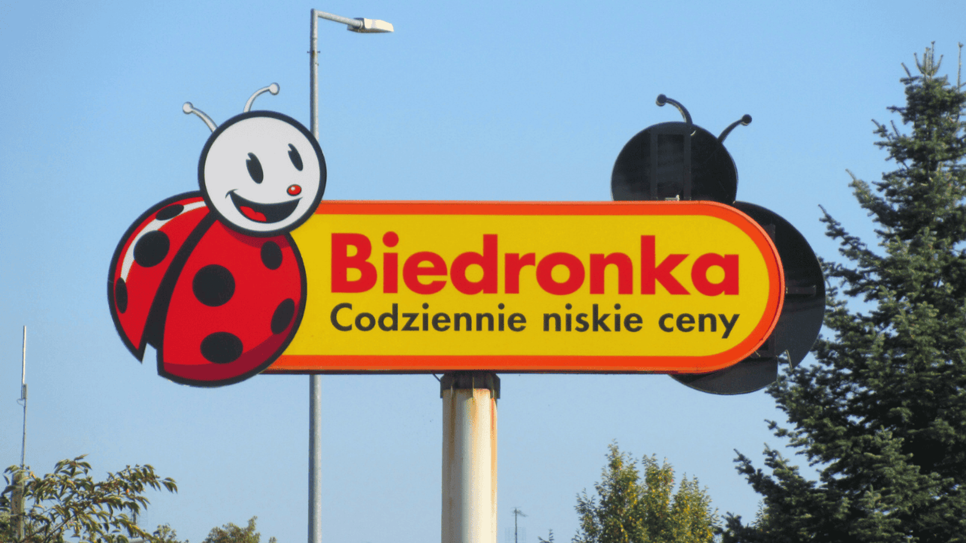 Biedronka