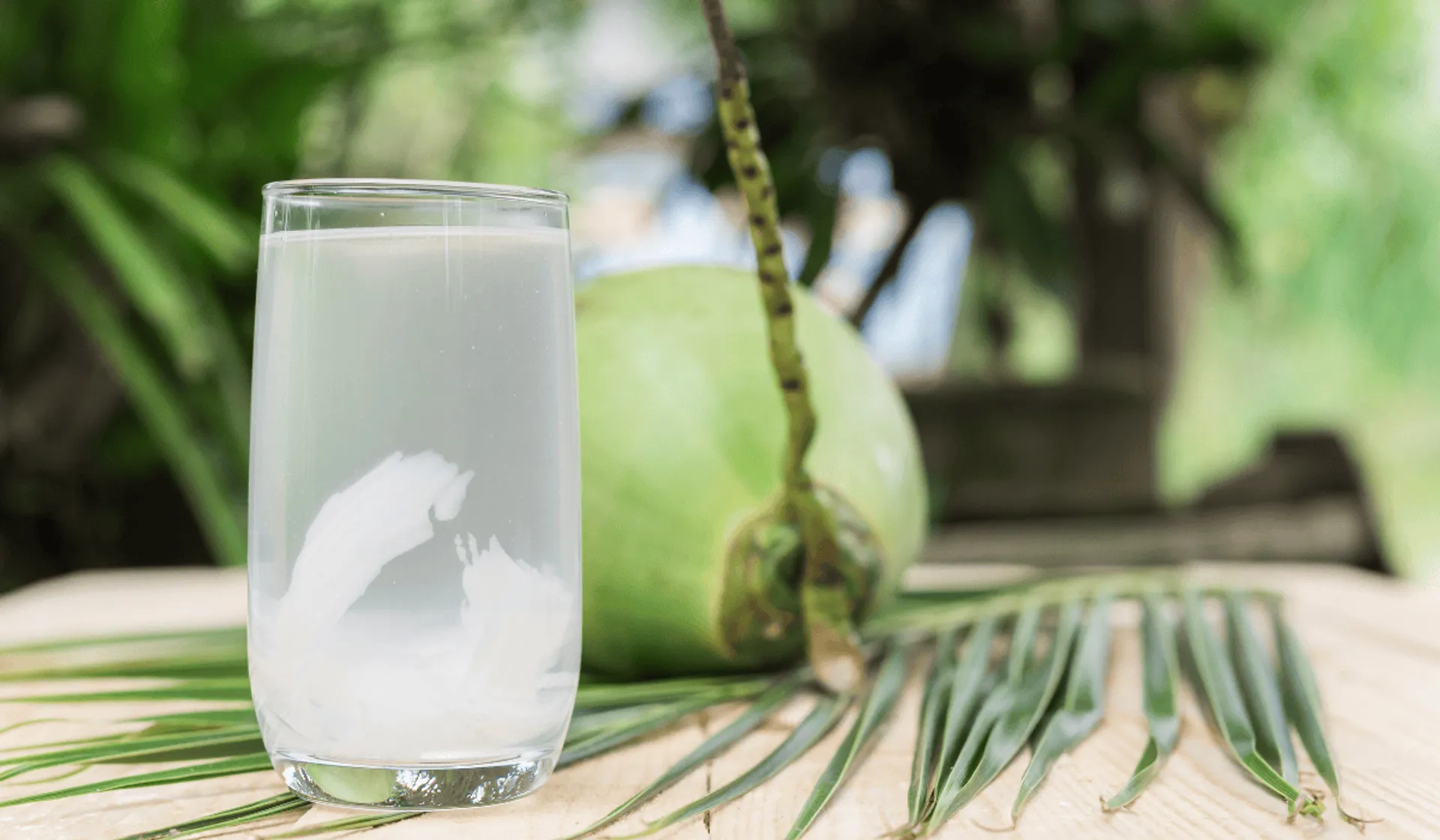 Woda kokosowa zamiast kawy? Naturalny zastrzyk energii bez kofeiny