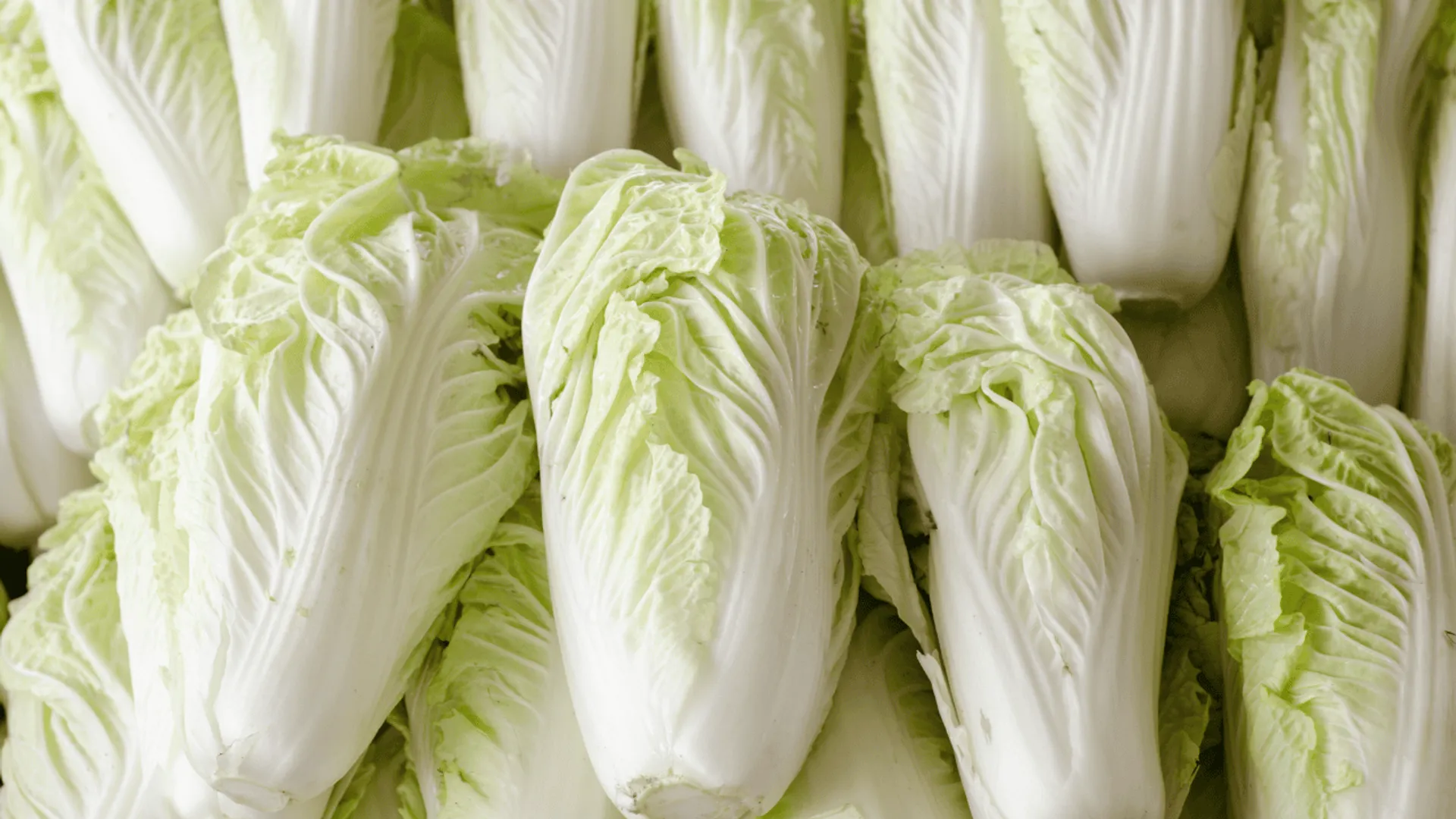 Kapusta pekińska na co dzień: co zyskuje zdrowie