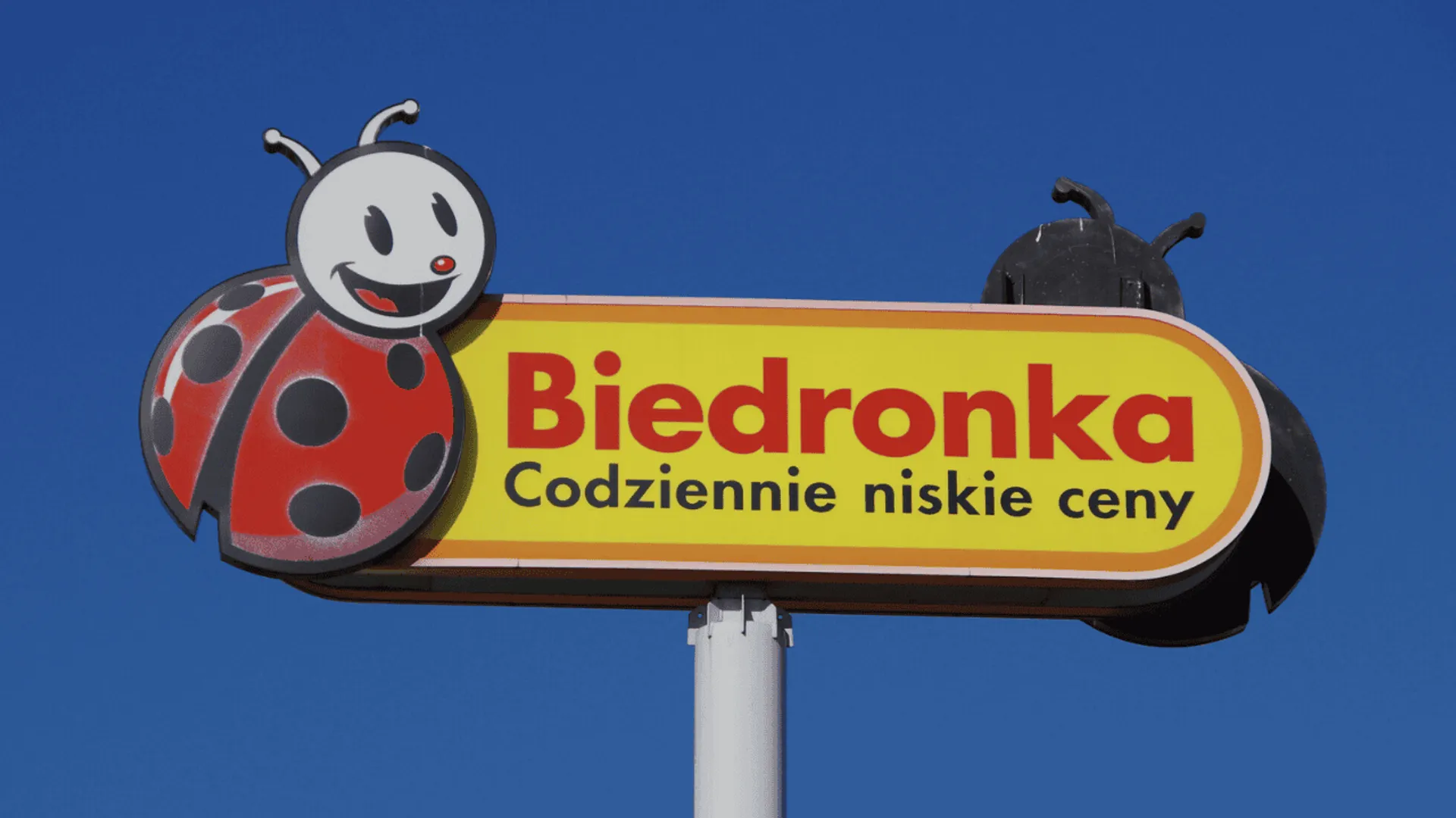 Promocja w Biedronce