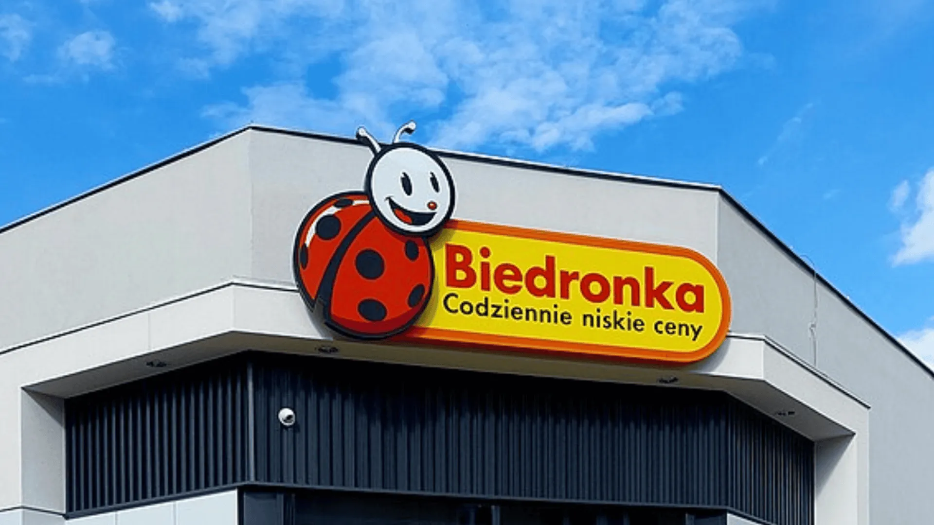Promocje w Biedronce na dziś - pełna rozpiska najciekawszych przecen