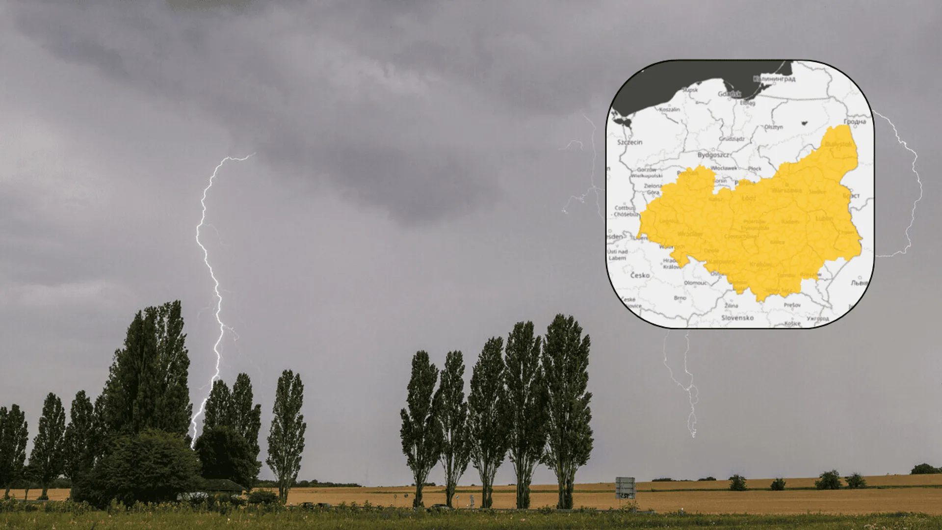 burza