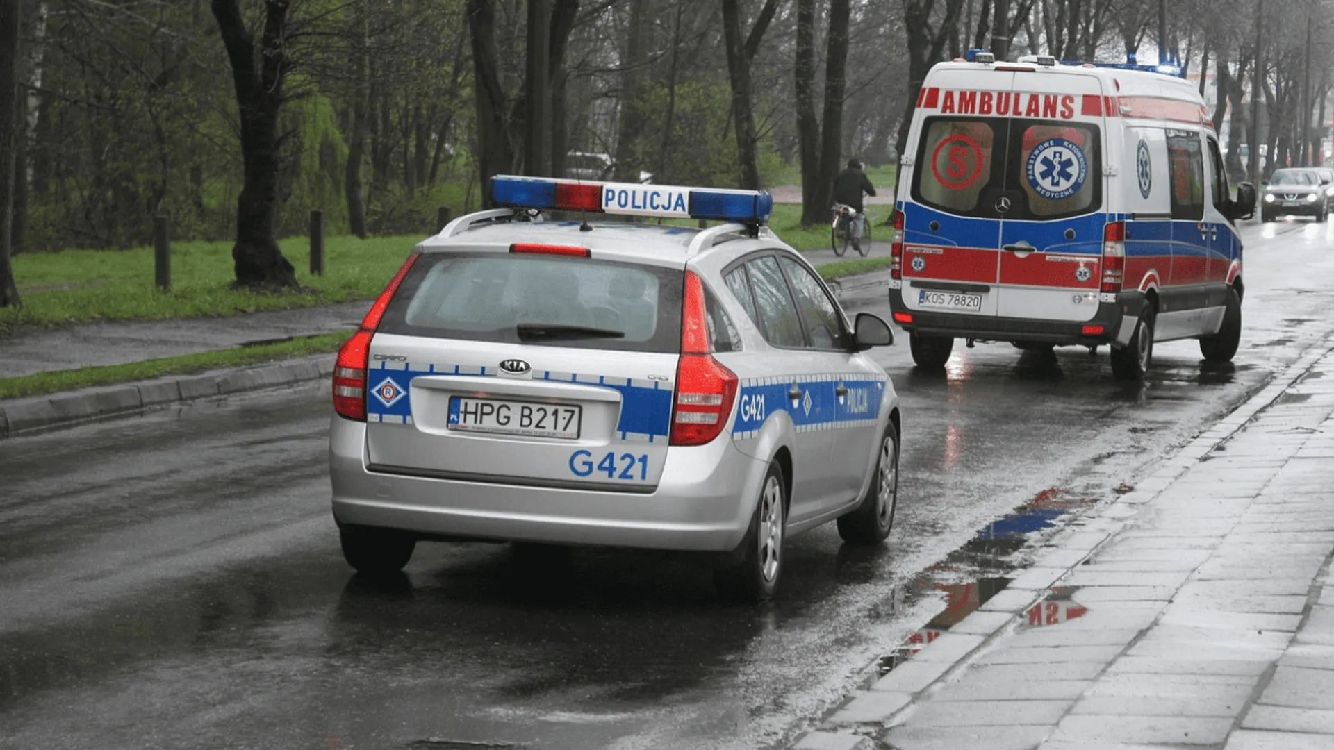 policja