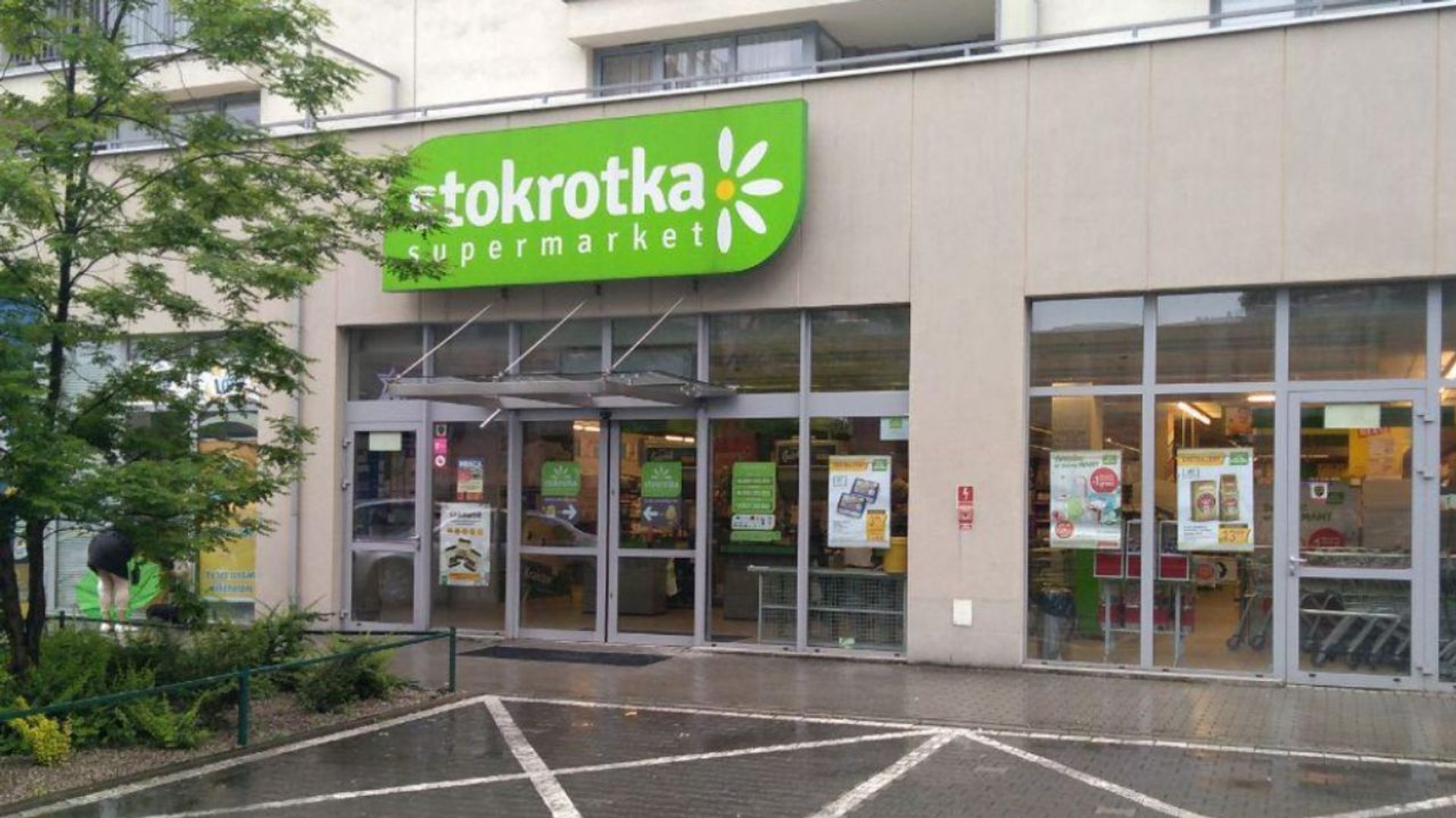 Stokrotka,Kraków