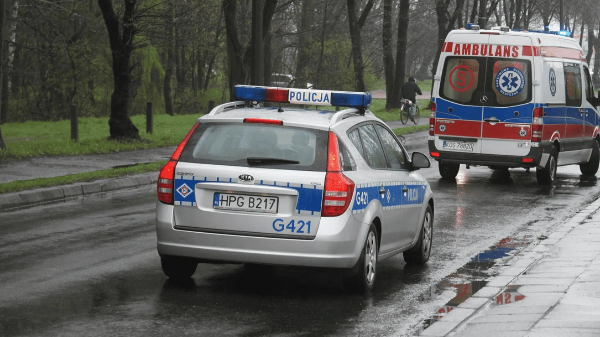policja