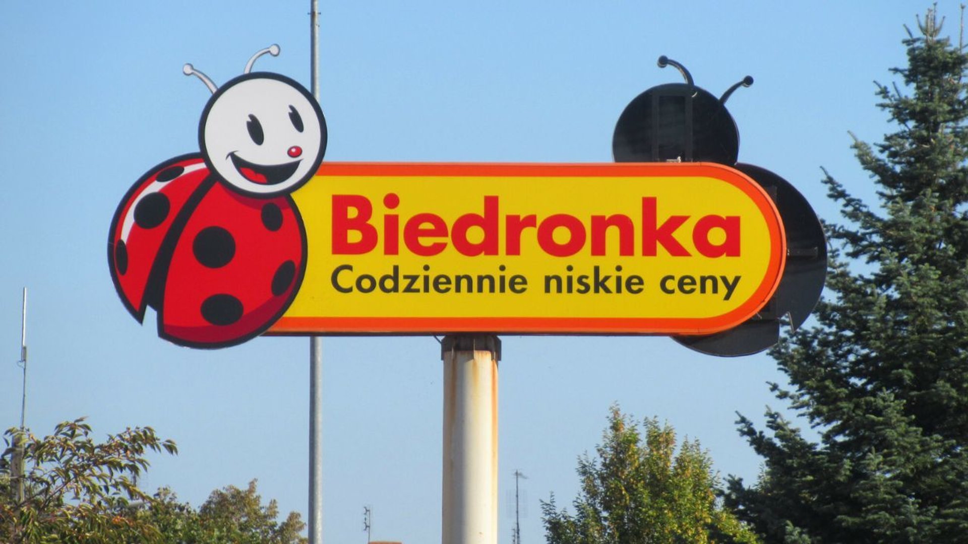 Biedronka