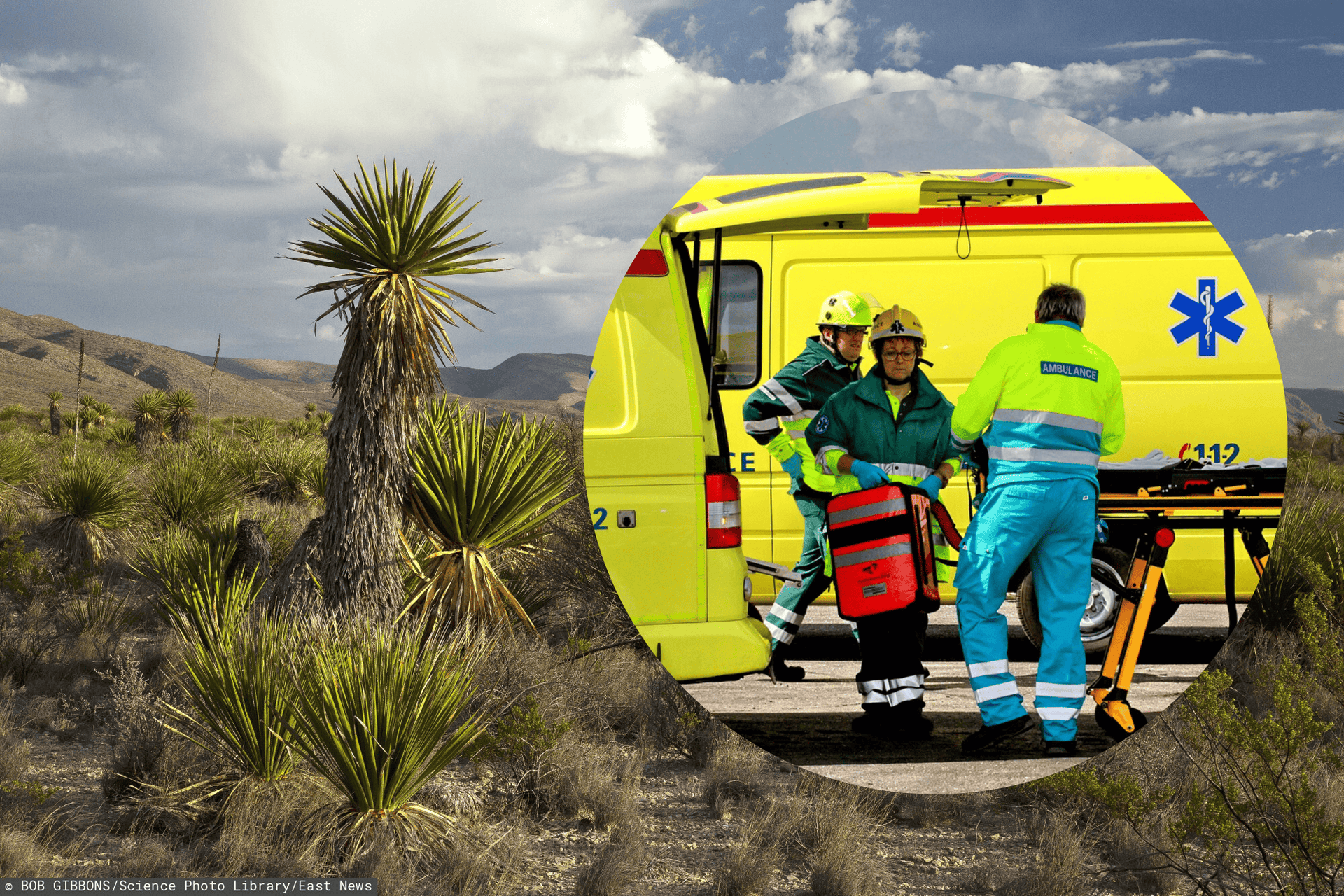 Ambulans, USA