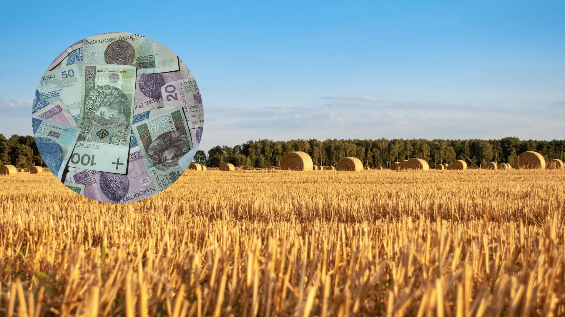 brak programów inwestycyjnych