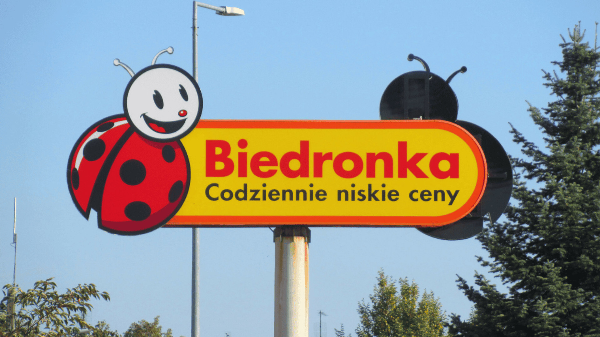 Biedronka