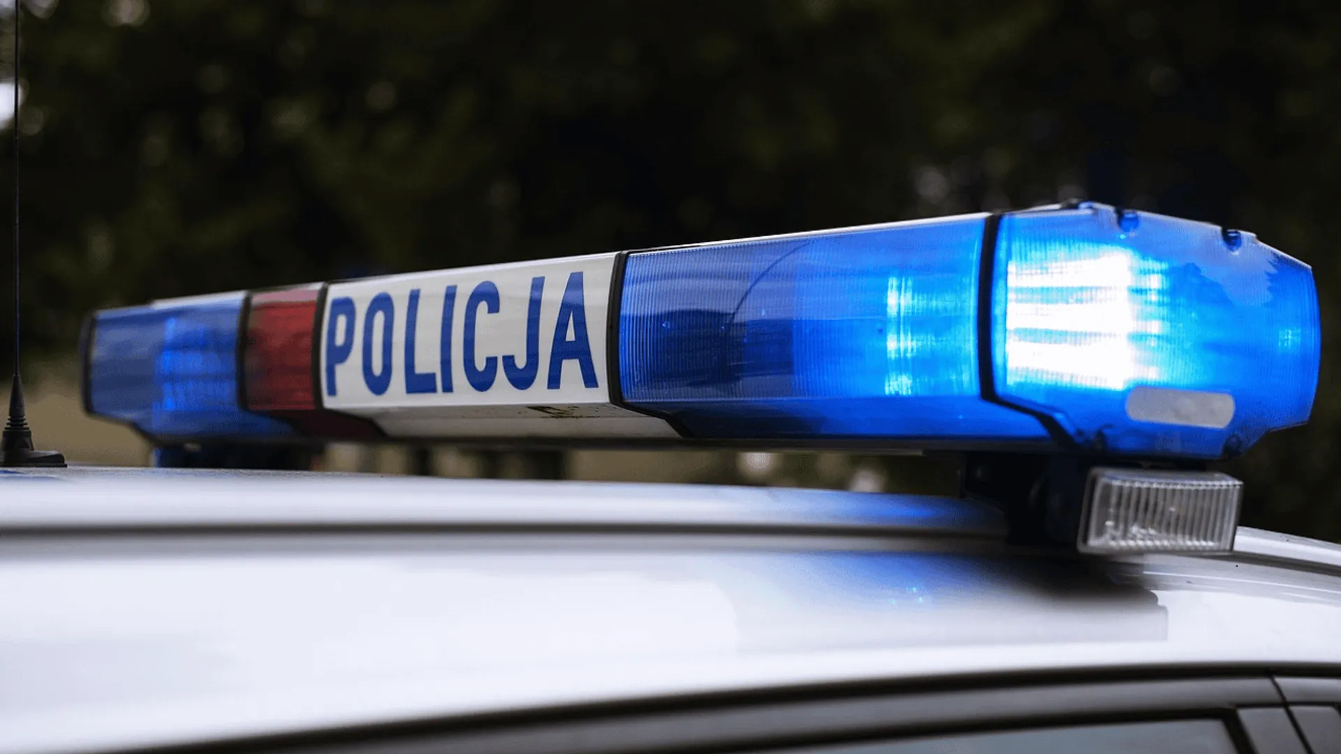 policja