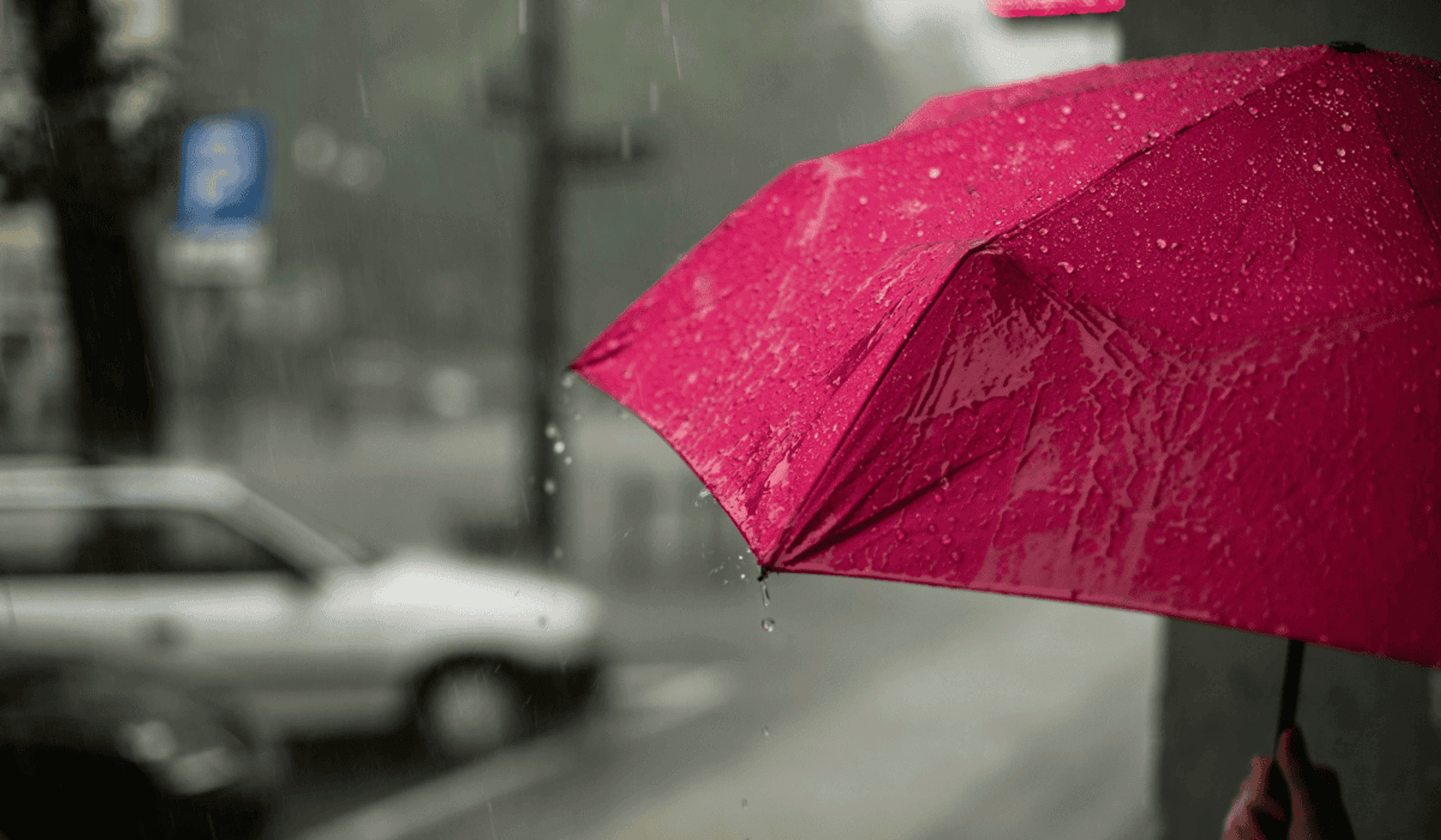 deszcz parasolka
