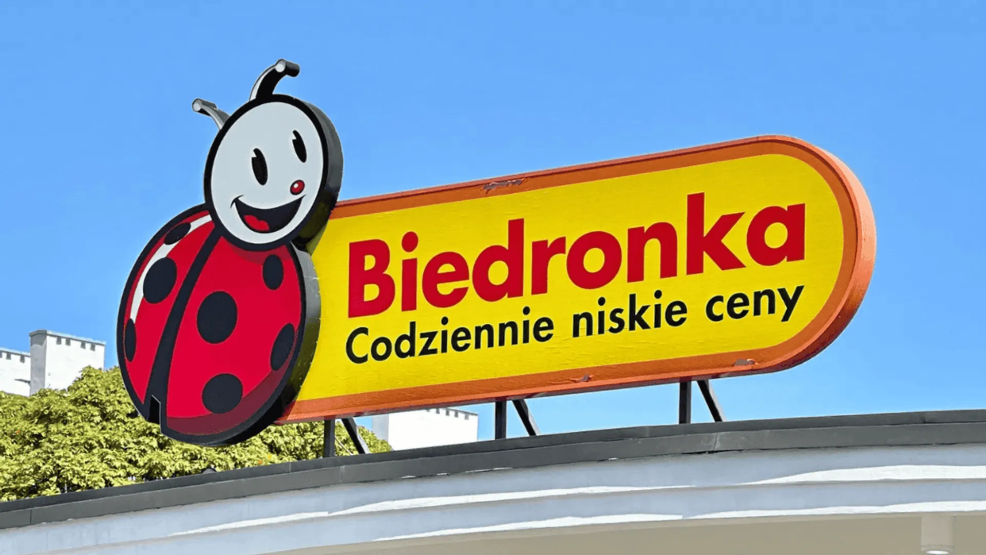 Biedronka
