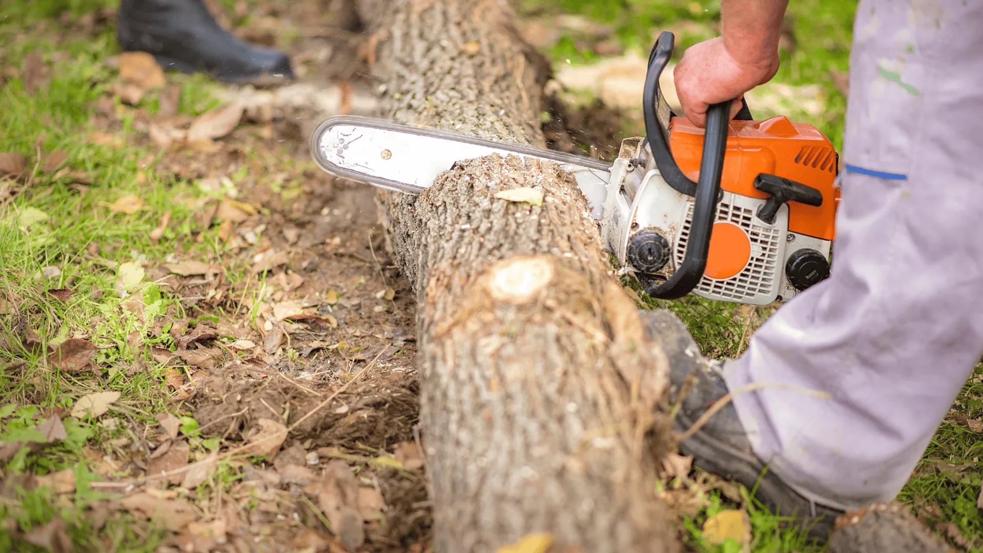Nowe przepisy dla działkowców i rolników 