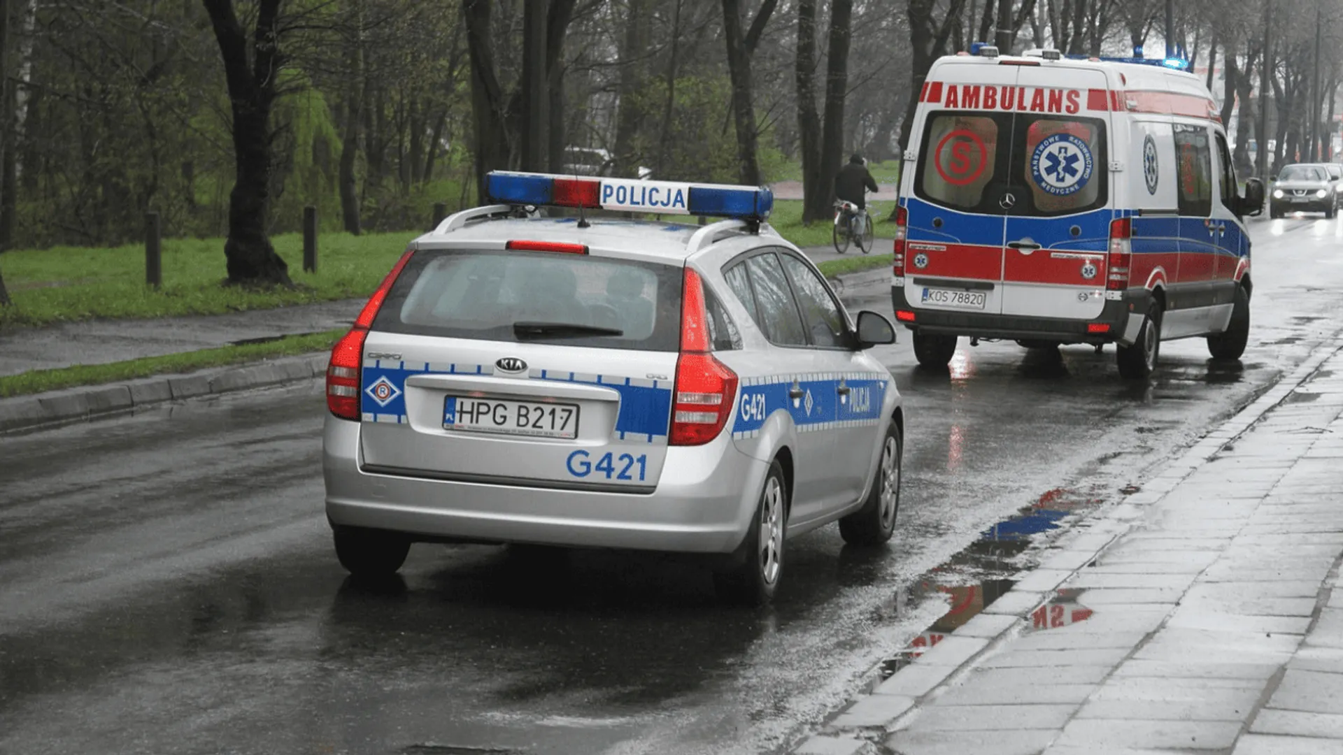 policja