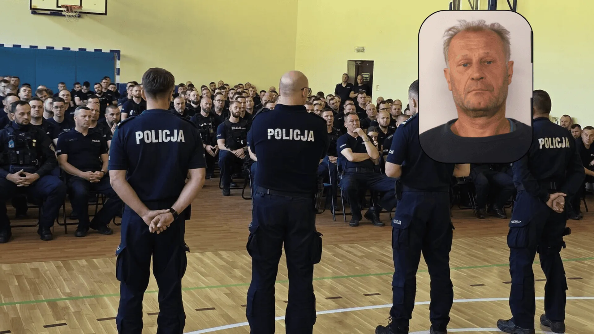 policja