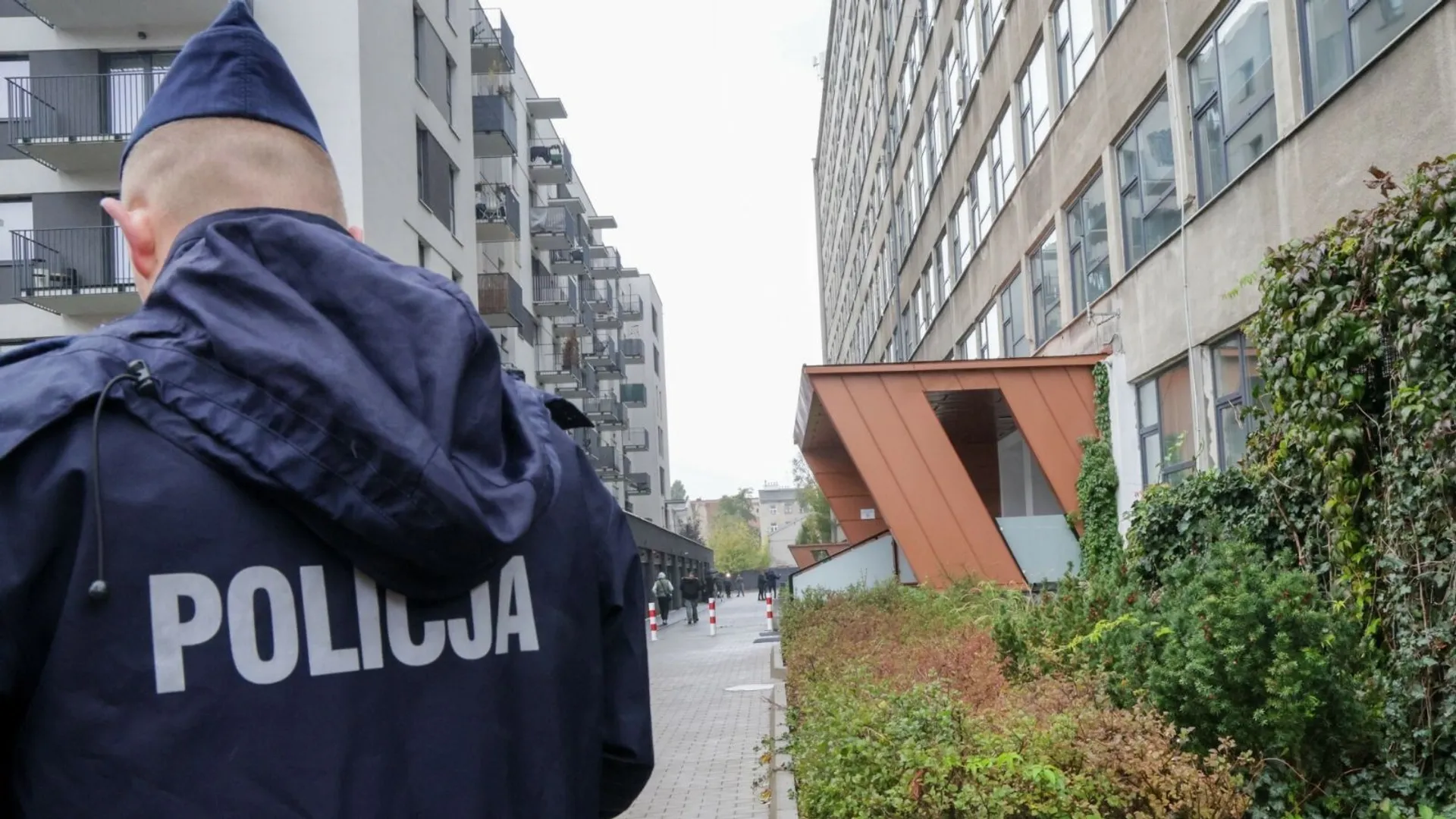 policja, szkoła