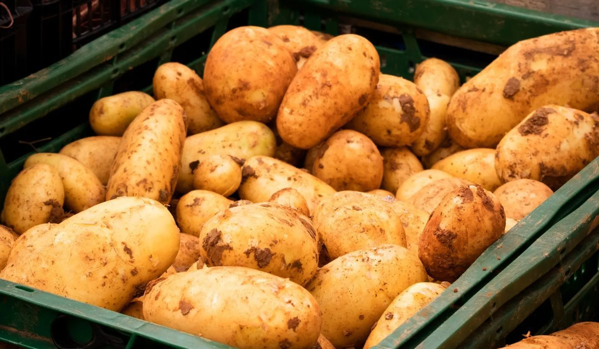 ziemniaki na targu