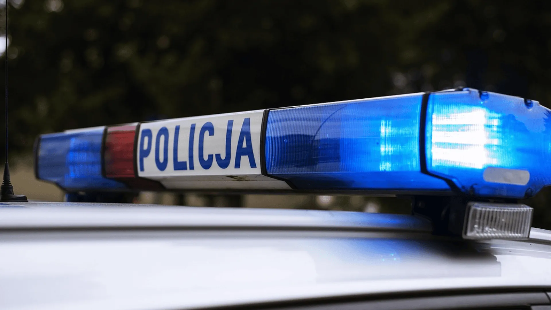 policja