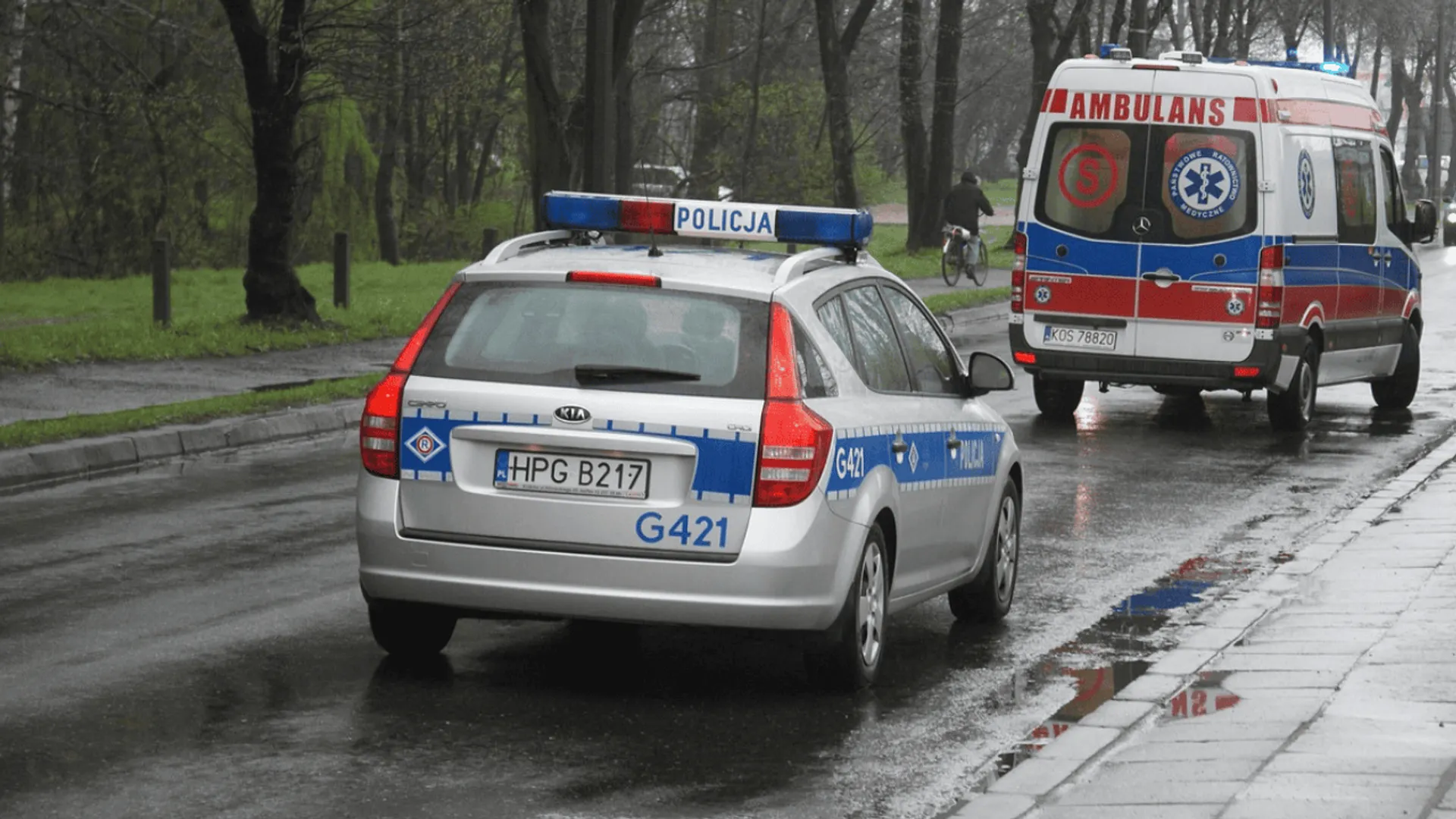policja