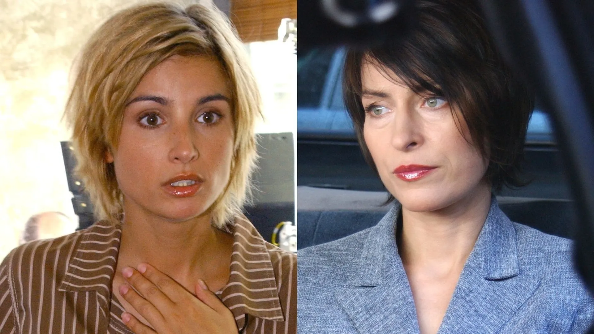 Joanna Brodzik, Danuta Stenka