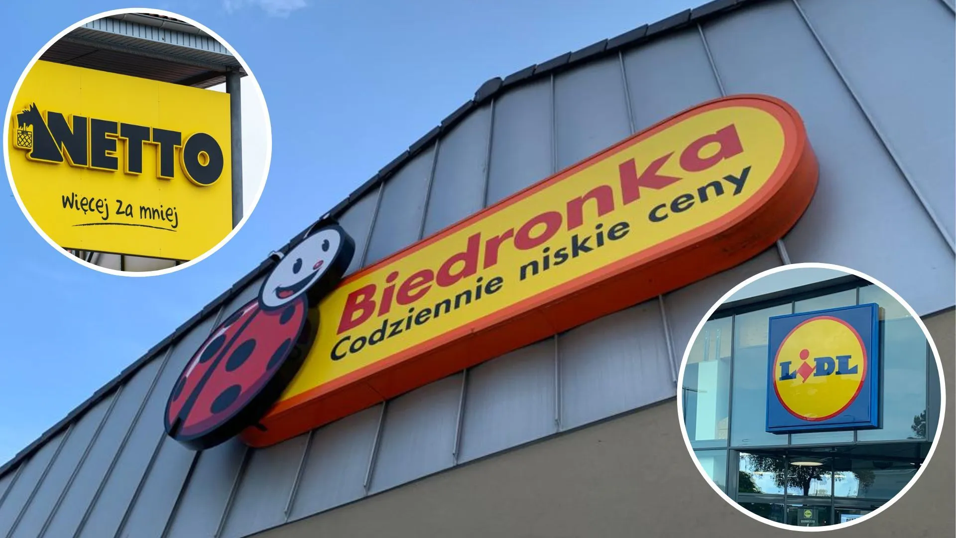 biedronka szyld lidl netti