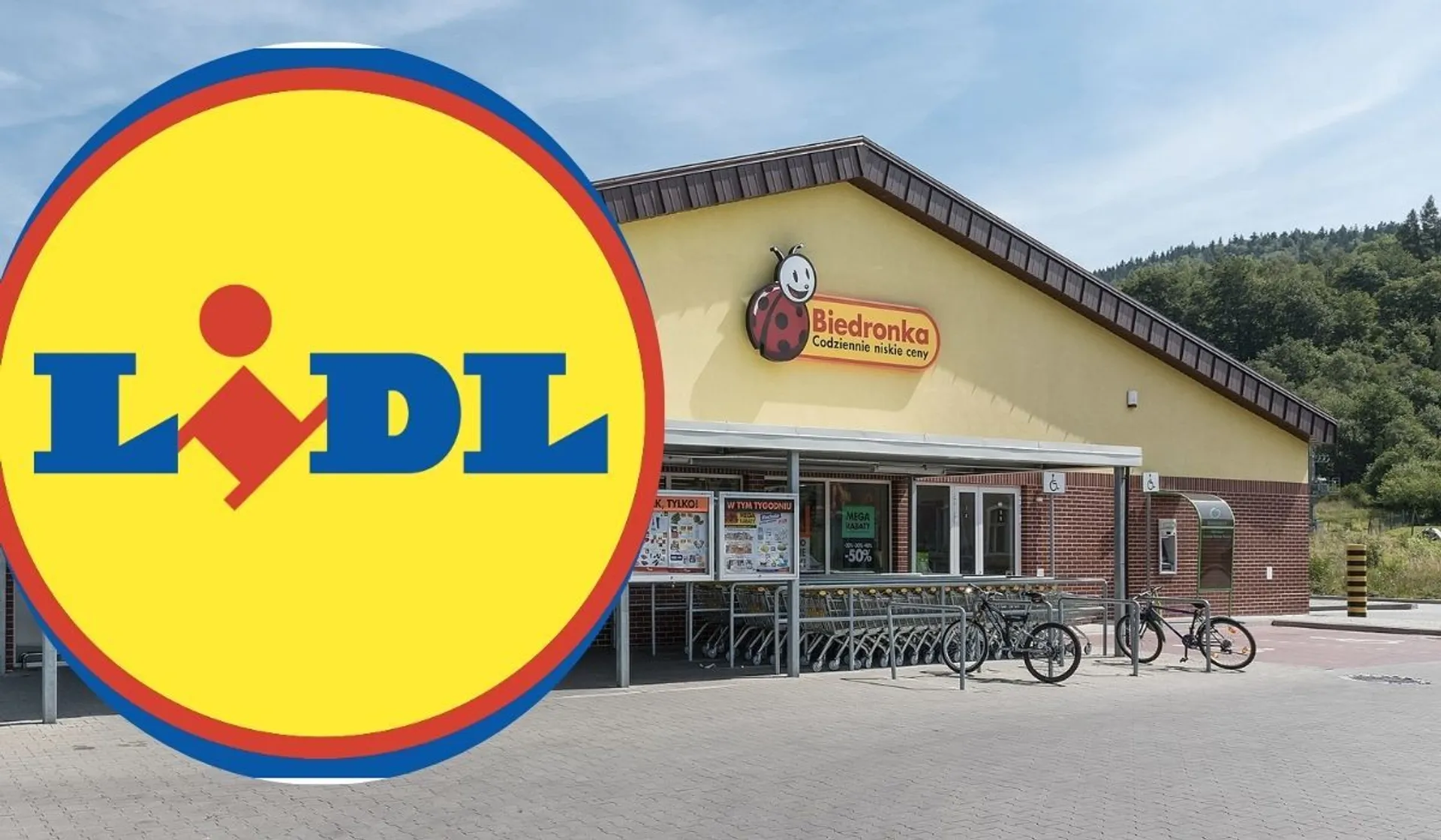 wojna lidla z biedronką