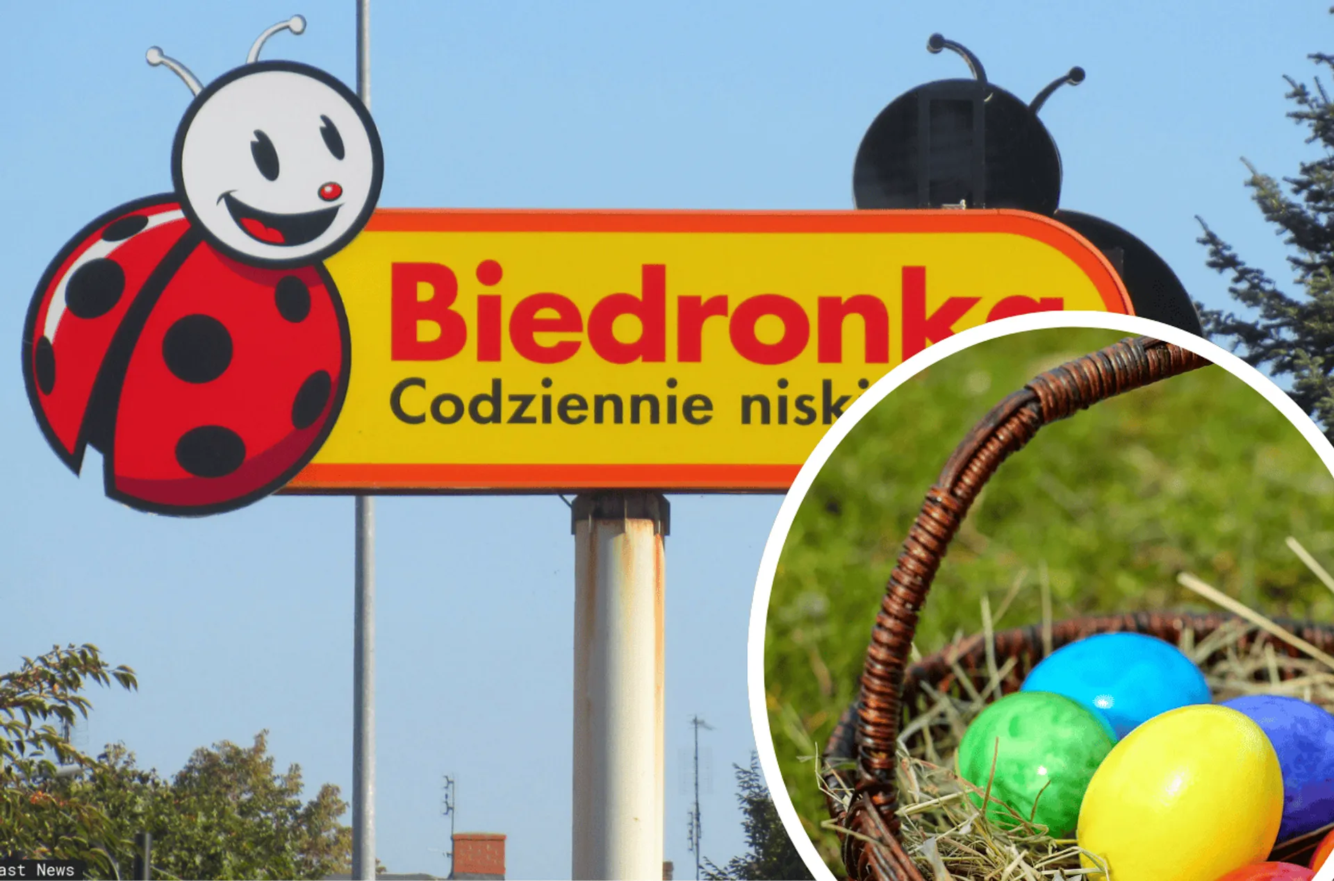 Biedronka, pisanki wielkanocne