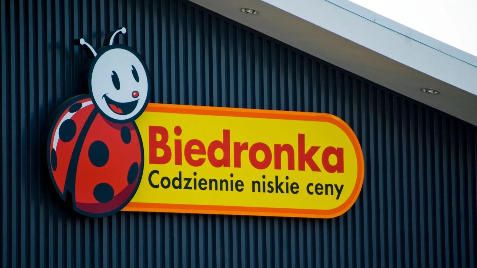 Promocje Biedronka lipiec