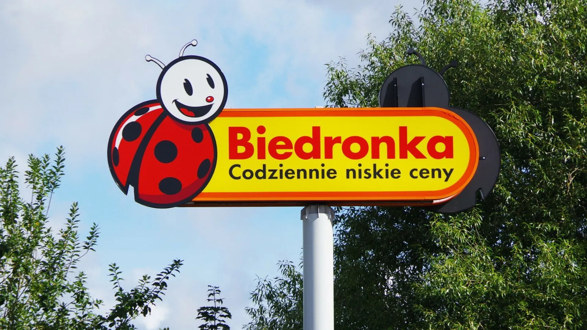 Promocje w Biedronce