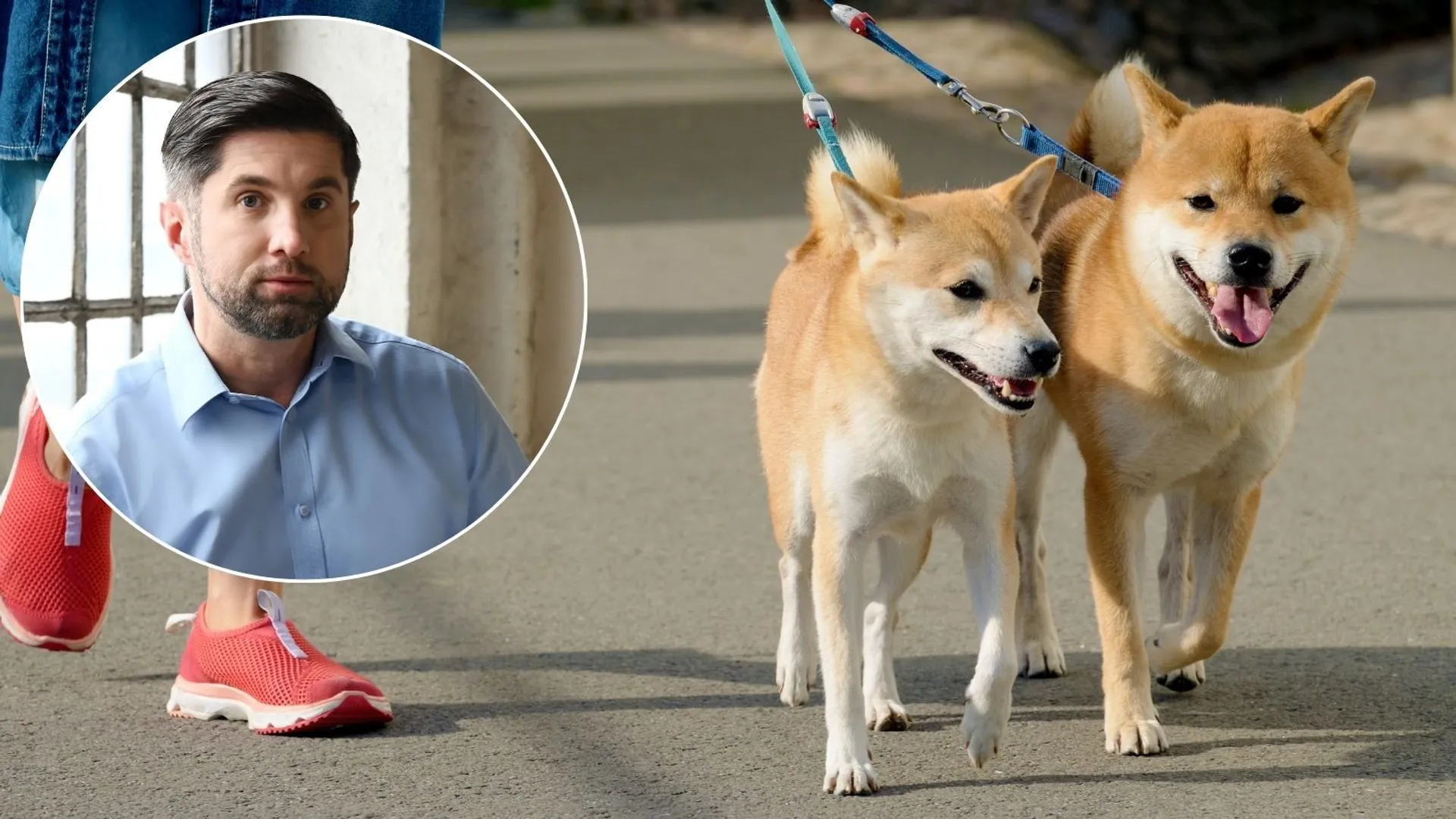 Psy na spacerze, Sebastian Przeniosło