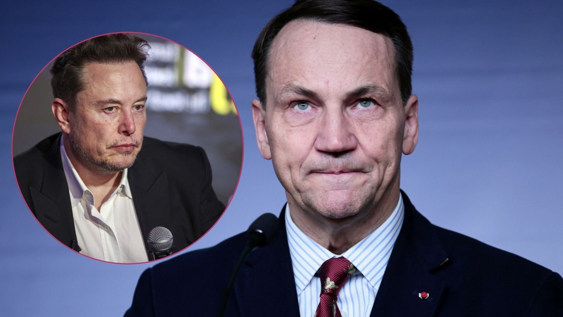 Radosław Sikorski, Elon Musk