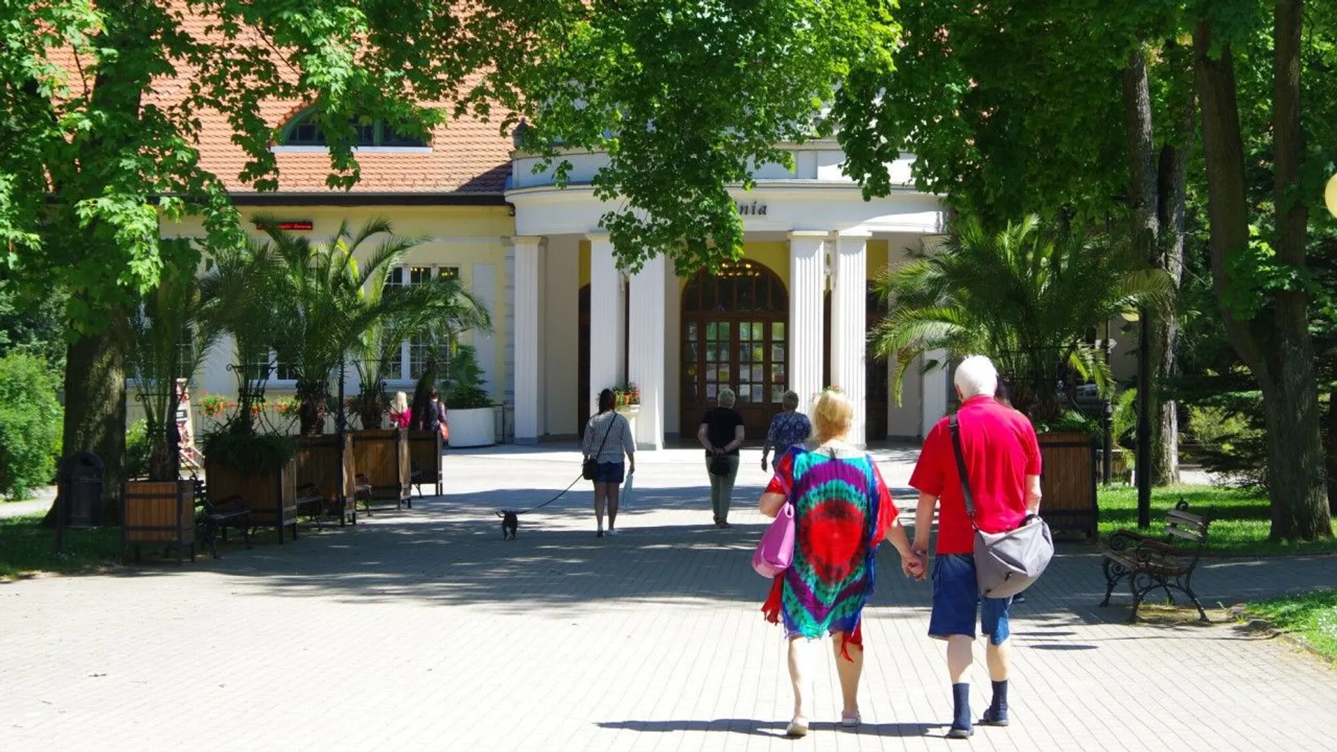 Dwójka emerytów idąca piękną alejką do sanatorium