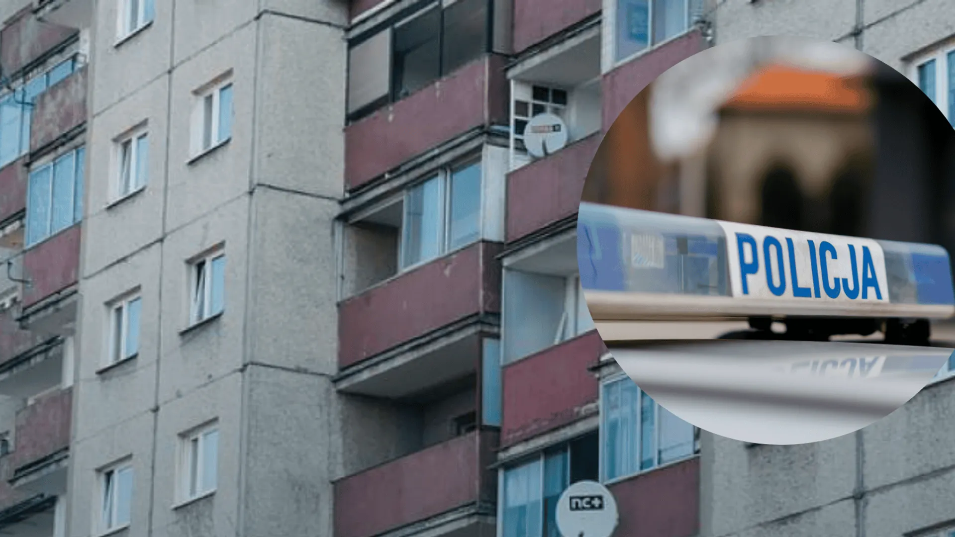 Fot. Canva/zdjęcie ilustracyjne