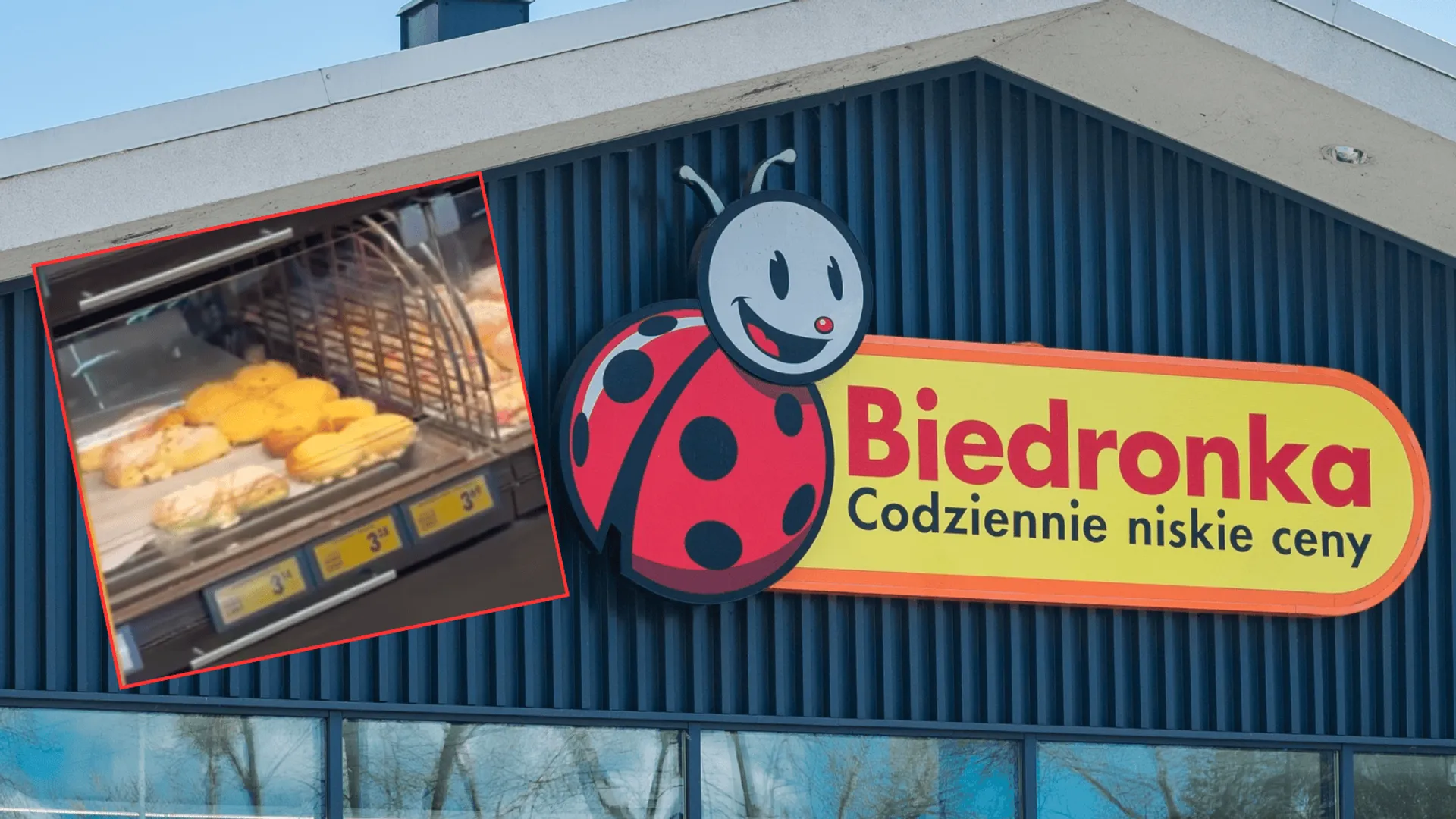 Mysz w gablocie z ciastkami. Szokujące nagranie z marketu w Baninie