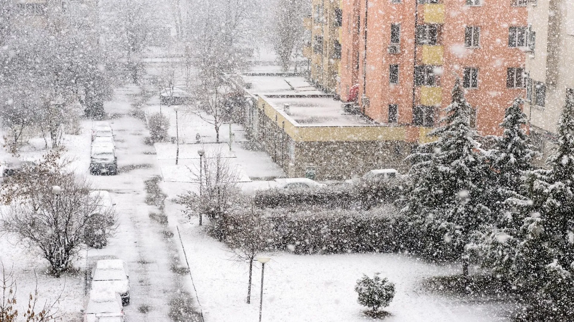 Ostrzeżenia meteorologiczne IMGW: Intensywne opady śniegu i zamiecie w północnej Polsce