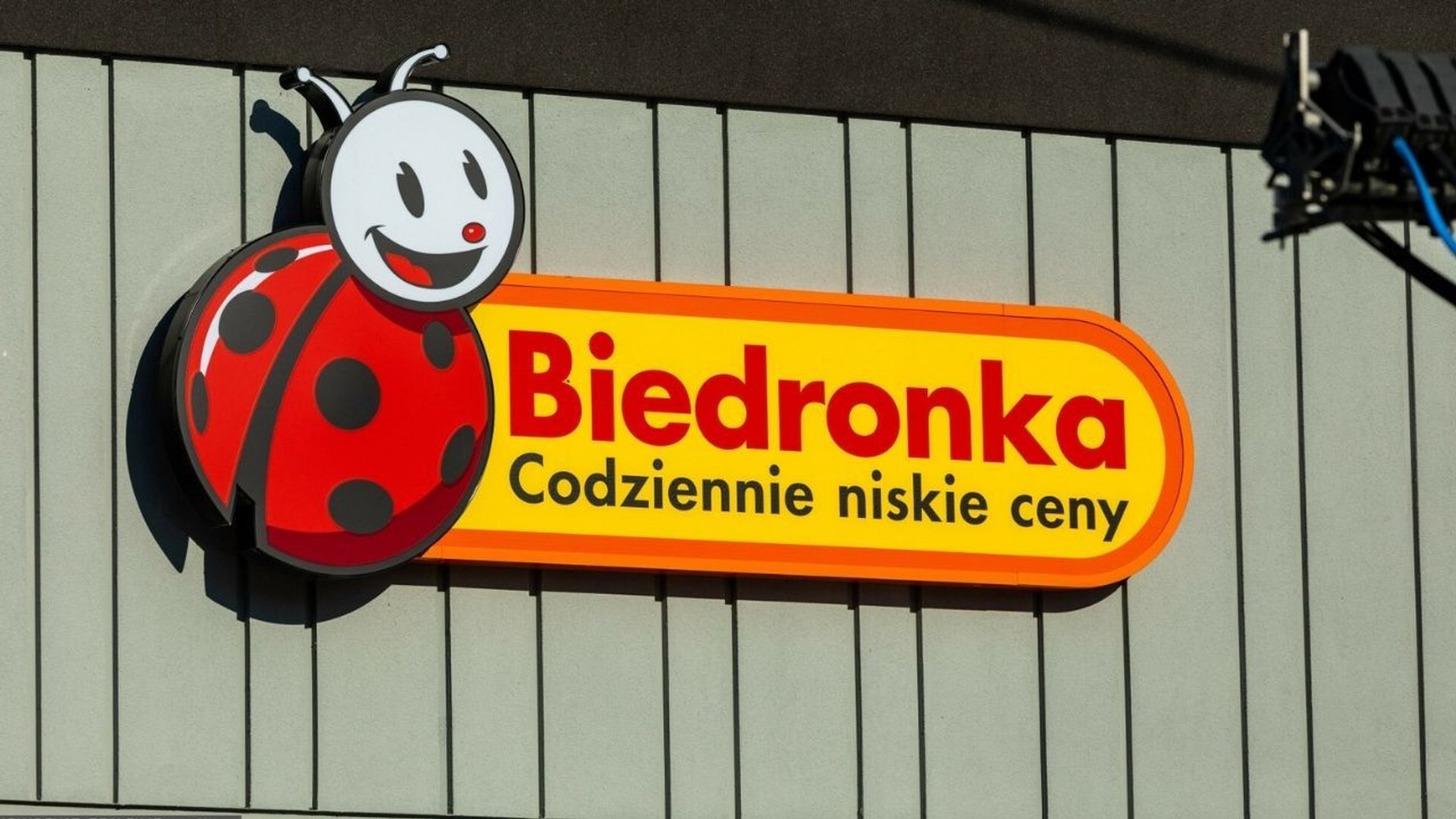 Biedronka