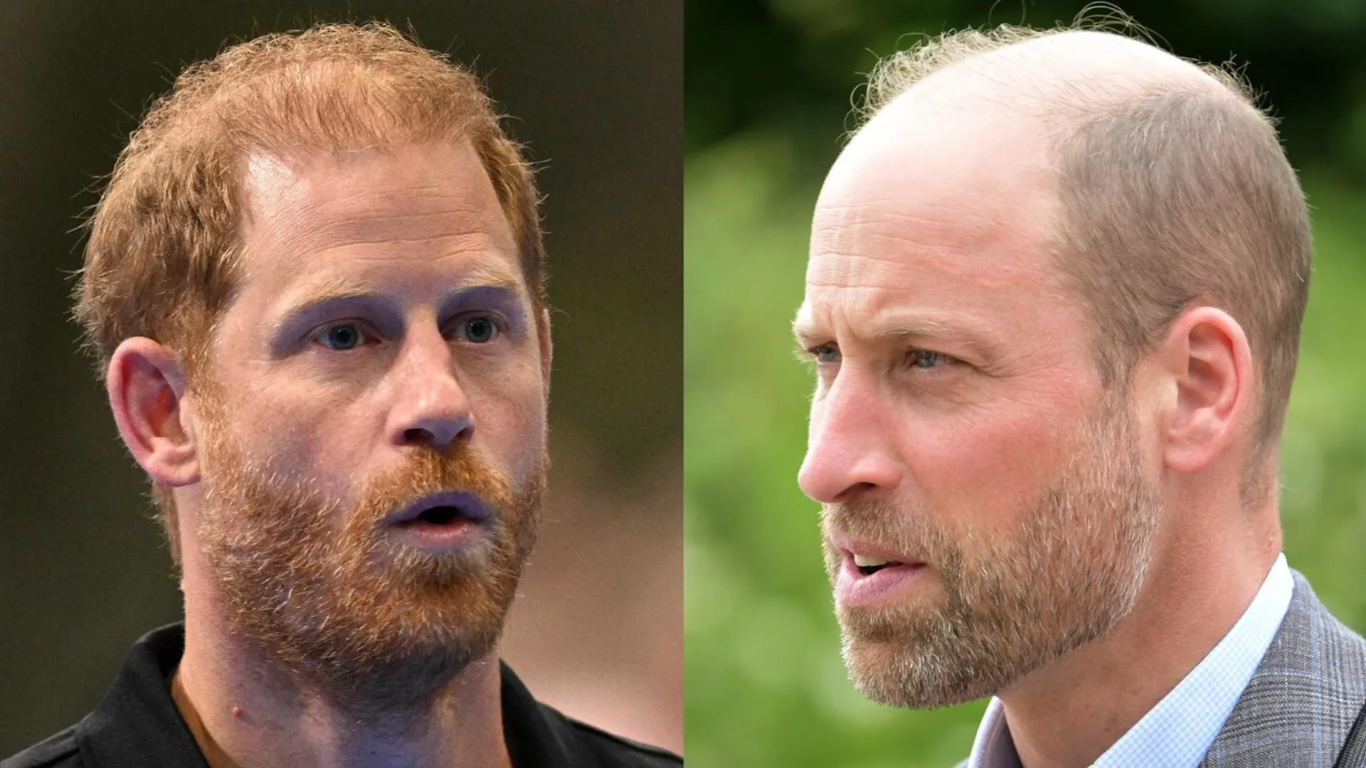 Książę Harry, książę William