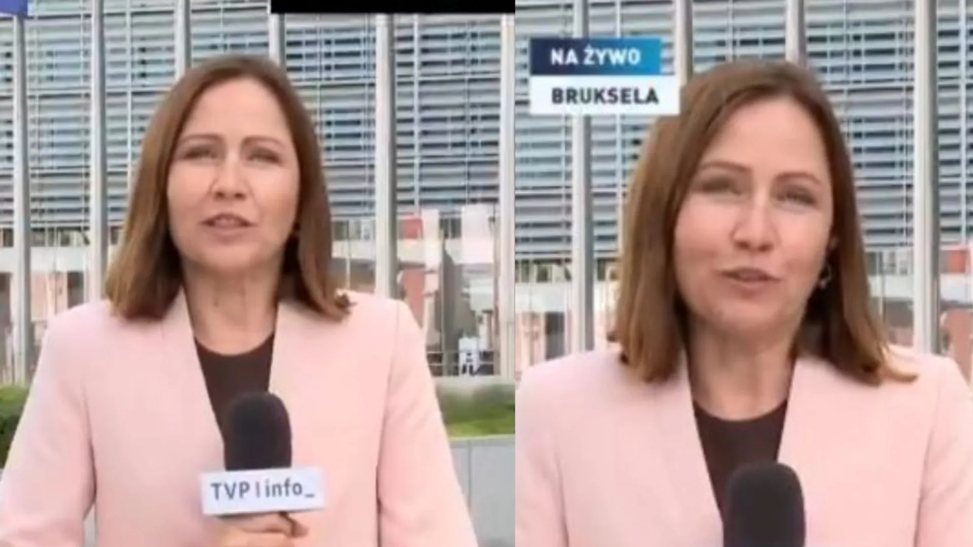 Dorota Bawołek TVP Info