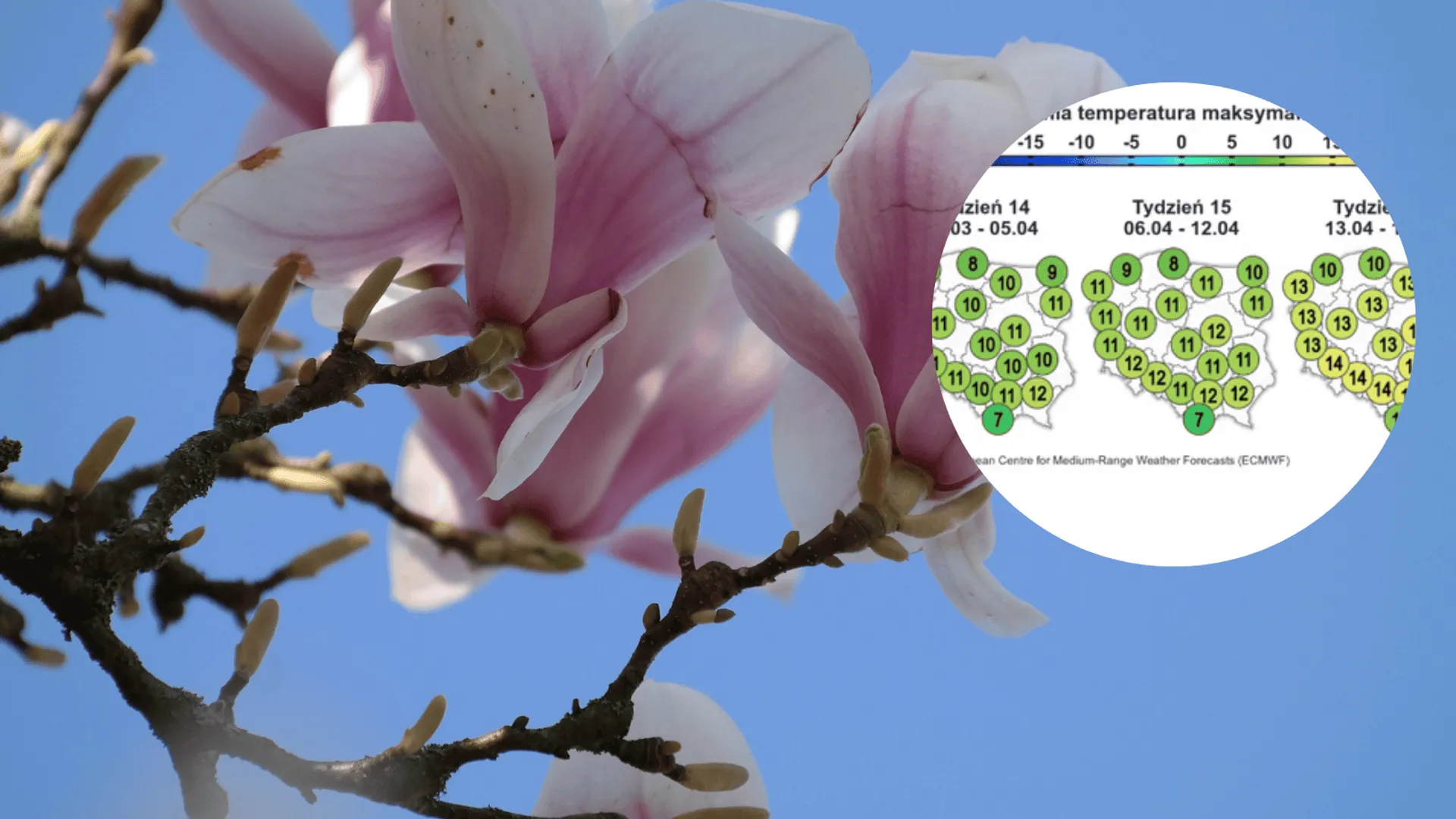 Taka będzie tegoroczna Wielkanoc