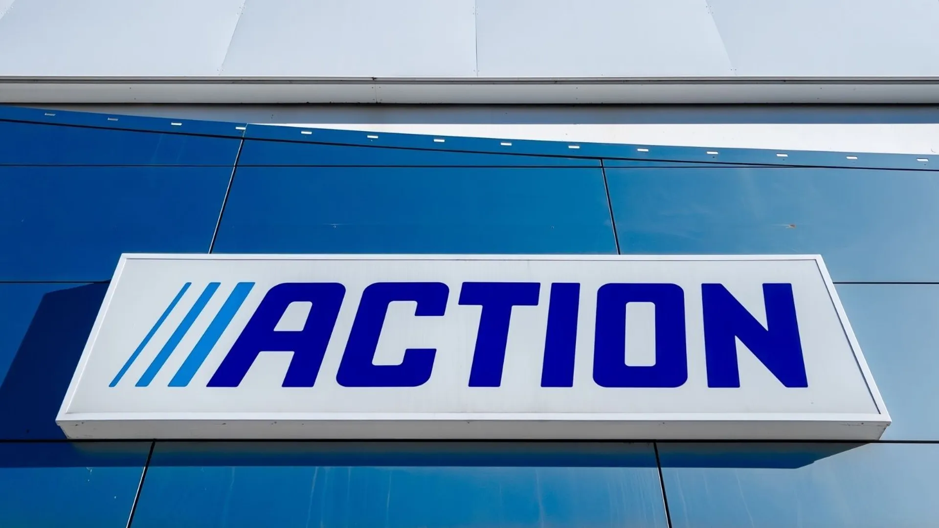 Termometr do mięsa z Action