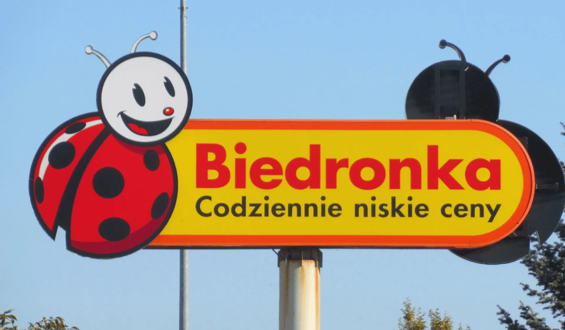 Biedronka 